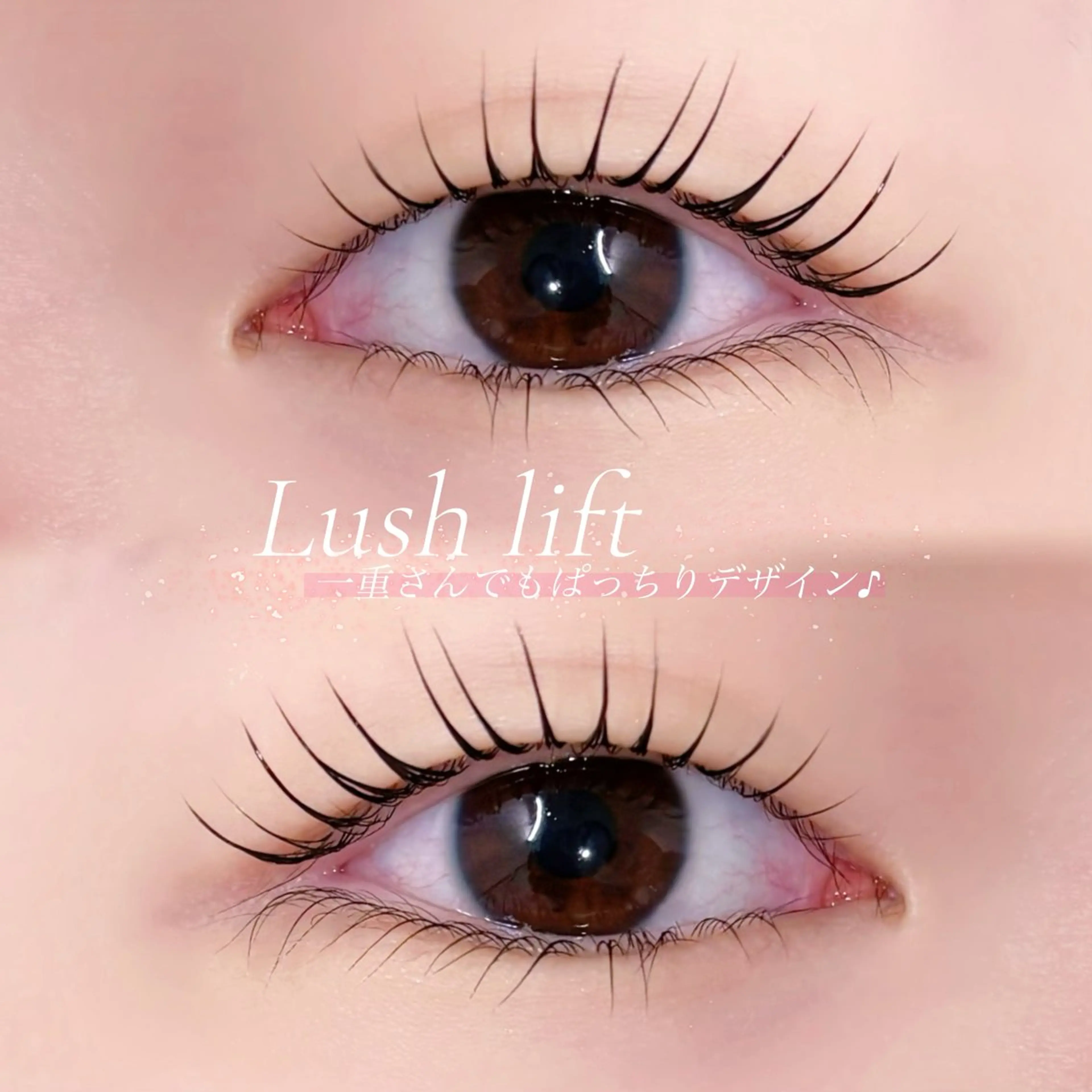 マツエク・マツパ meme🦋マツパ/ アイブロウ/メンズの眉毛・アイブロウイメージ