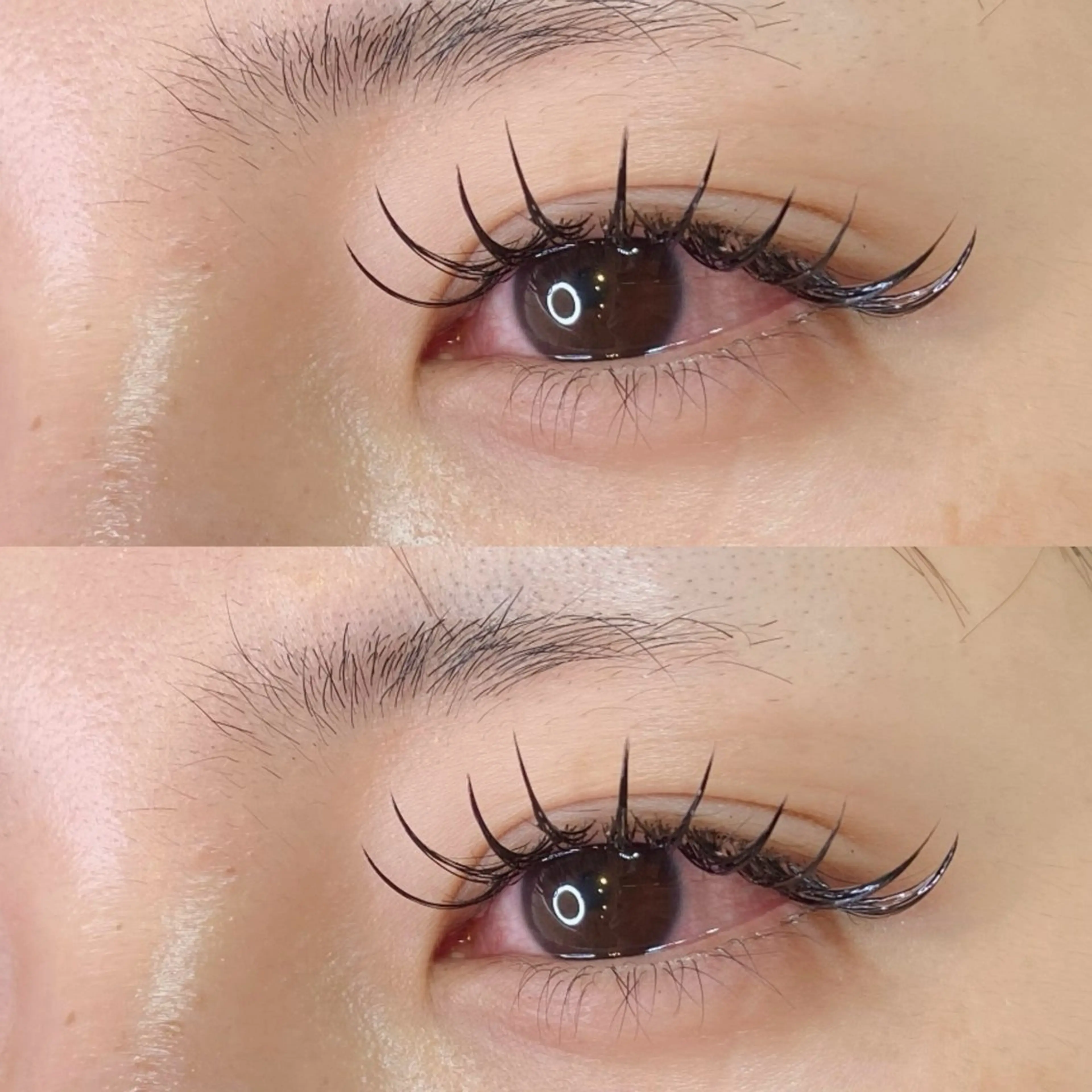 マツエク・マツパ 付け放題 Cカール フラットラッシュ esilarante ：のマツエク・マツパデザイン