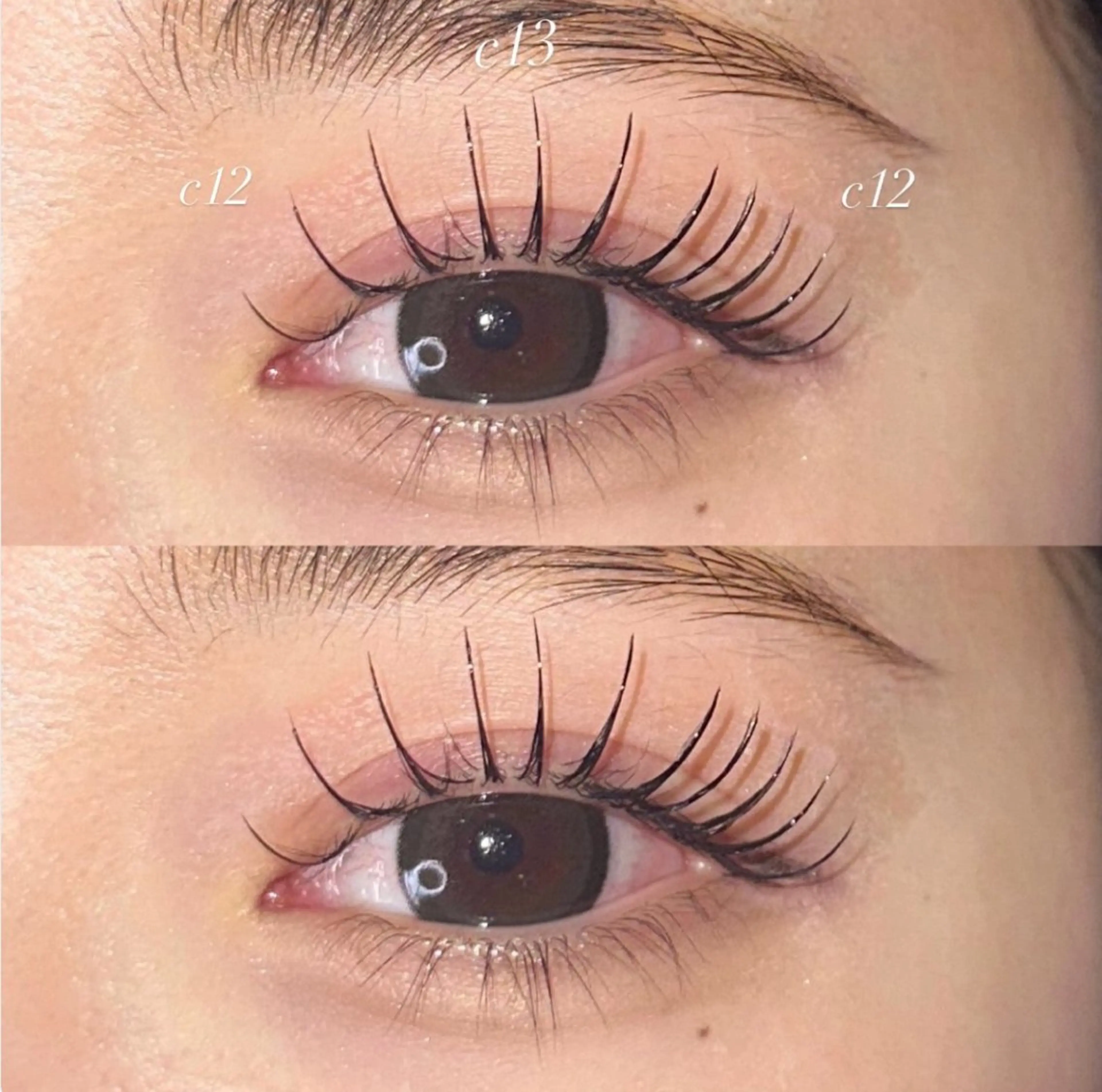 【🎀大人気パリエク100本🎀】韓国風束感仕上げ🩵の写真