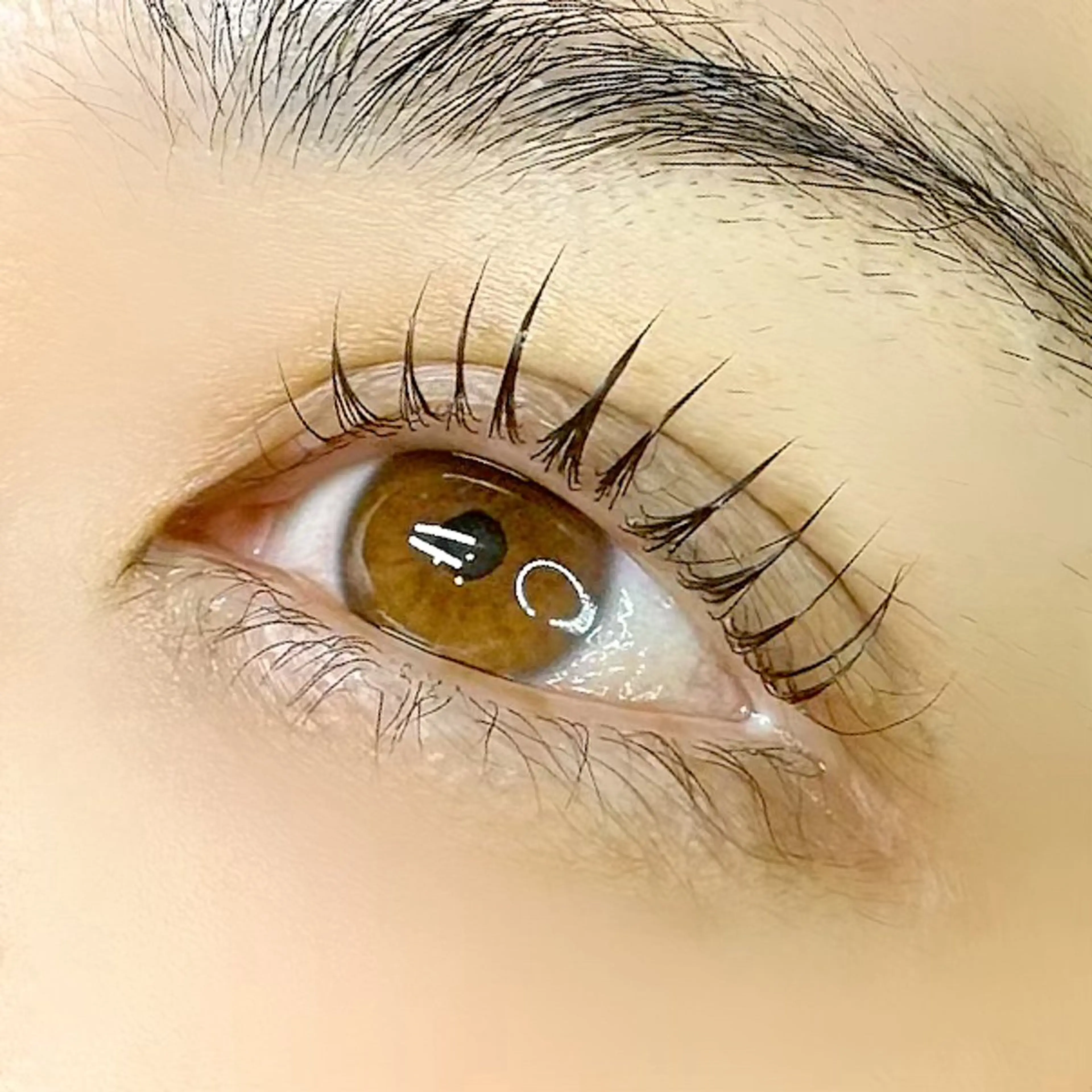 マツエク・マツパ Lカール ella eyelashのマツエク・マツパデザイン