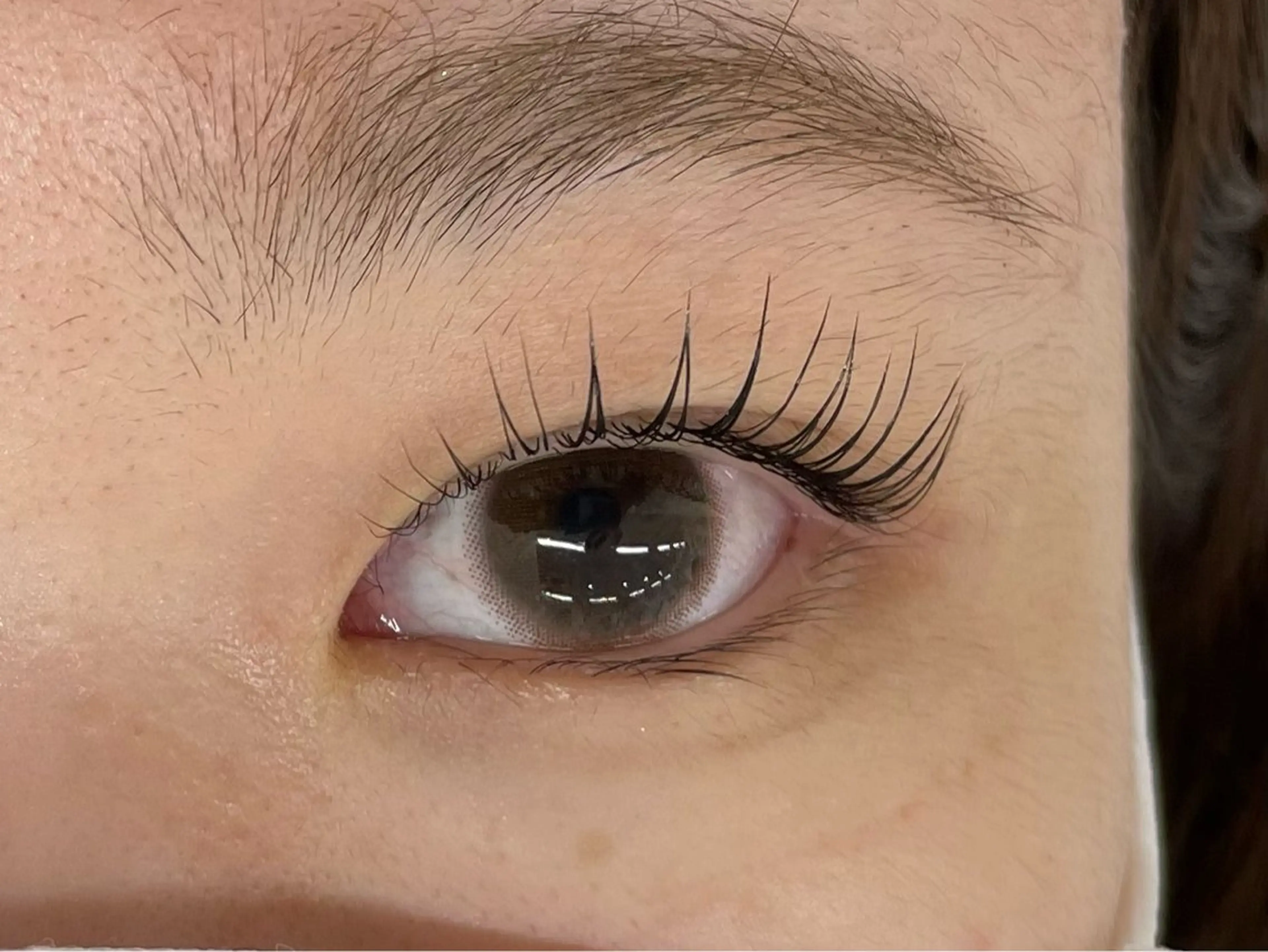 マツエク・マツパ マリーテレジア 🪻YUKAのマツエク・マツパデザイン