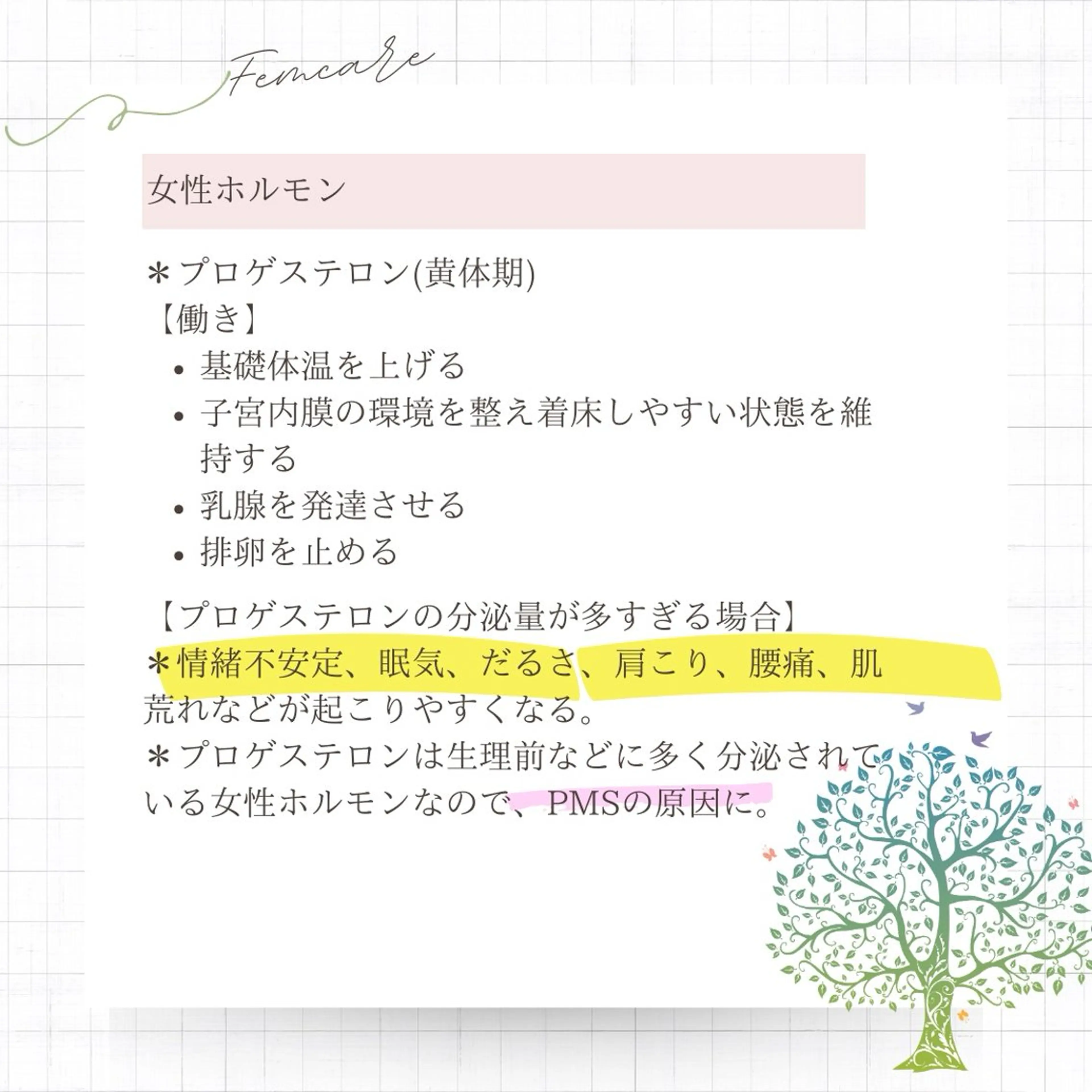 めぐらせの 森のその他イメージ