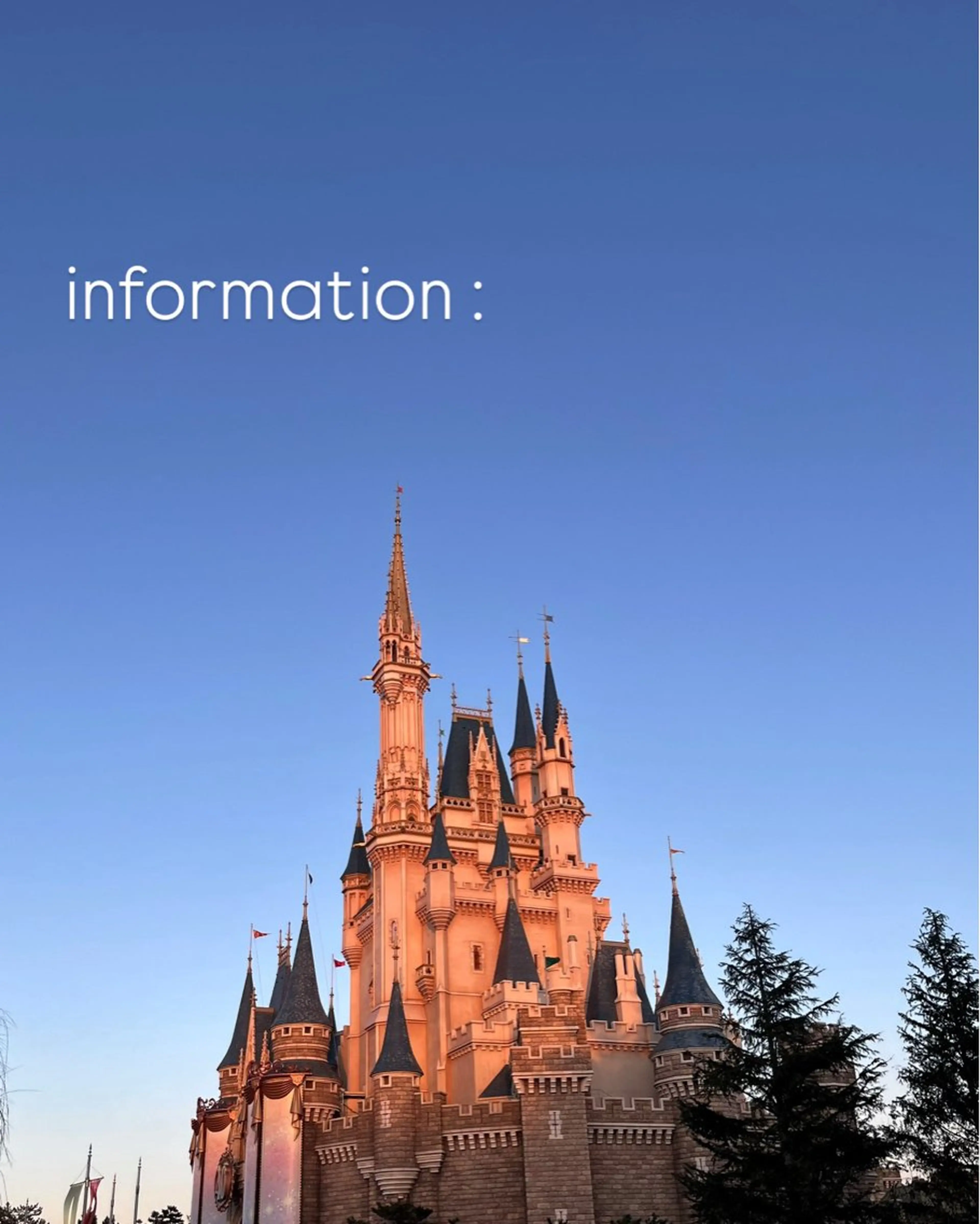 ネイル 𝗿𝗶𝗰𝗼 ˎˊ˗のネイルデザイン