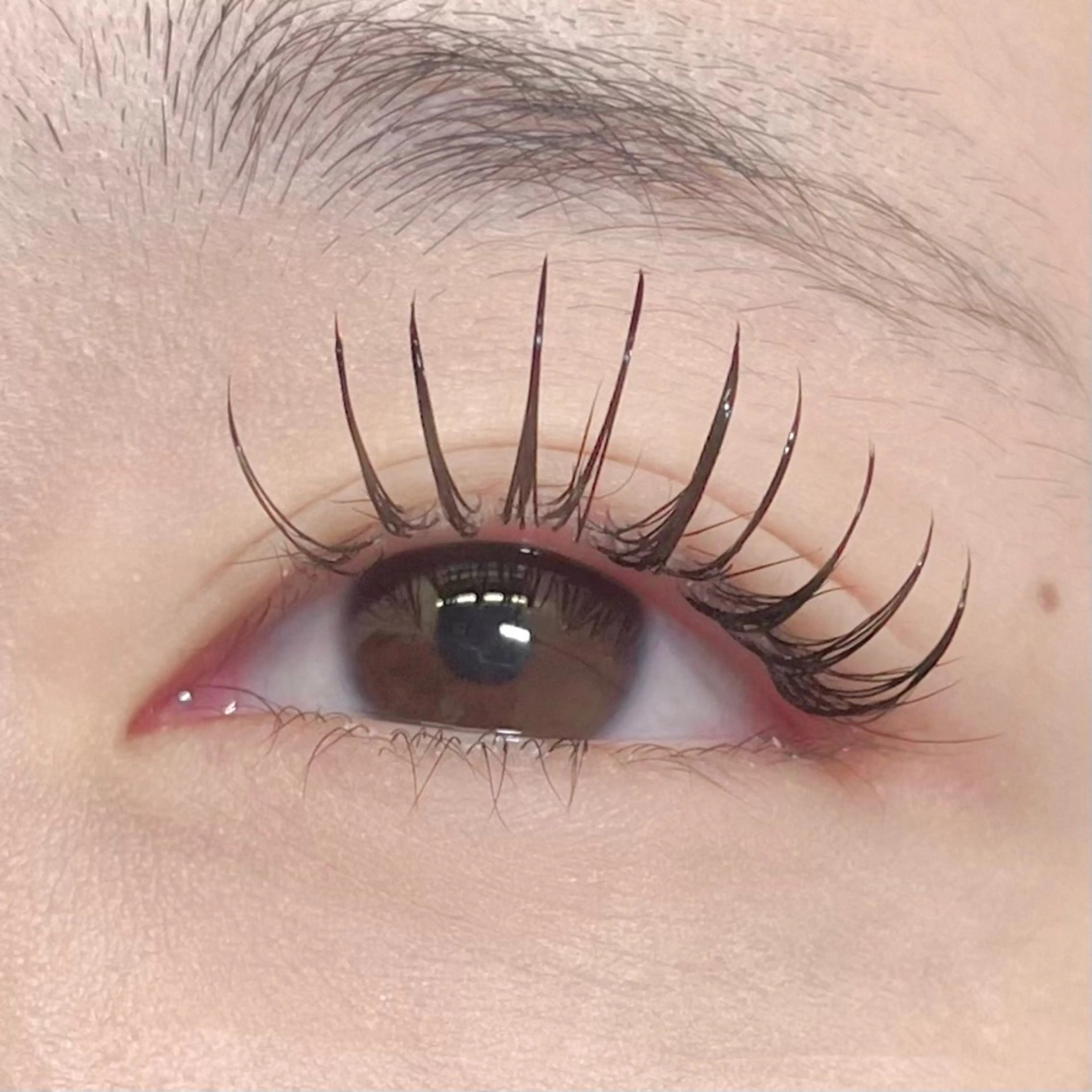 マツエク・マツパ CCカール Cカール フラットラッシュ マツエク COCO 大黒のマツエク・マツパデザイン