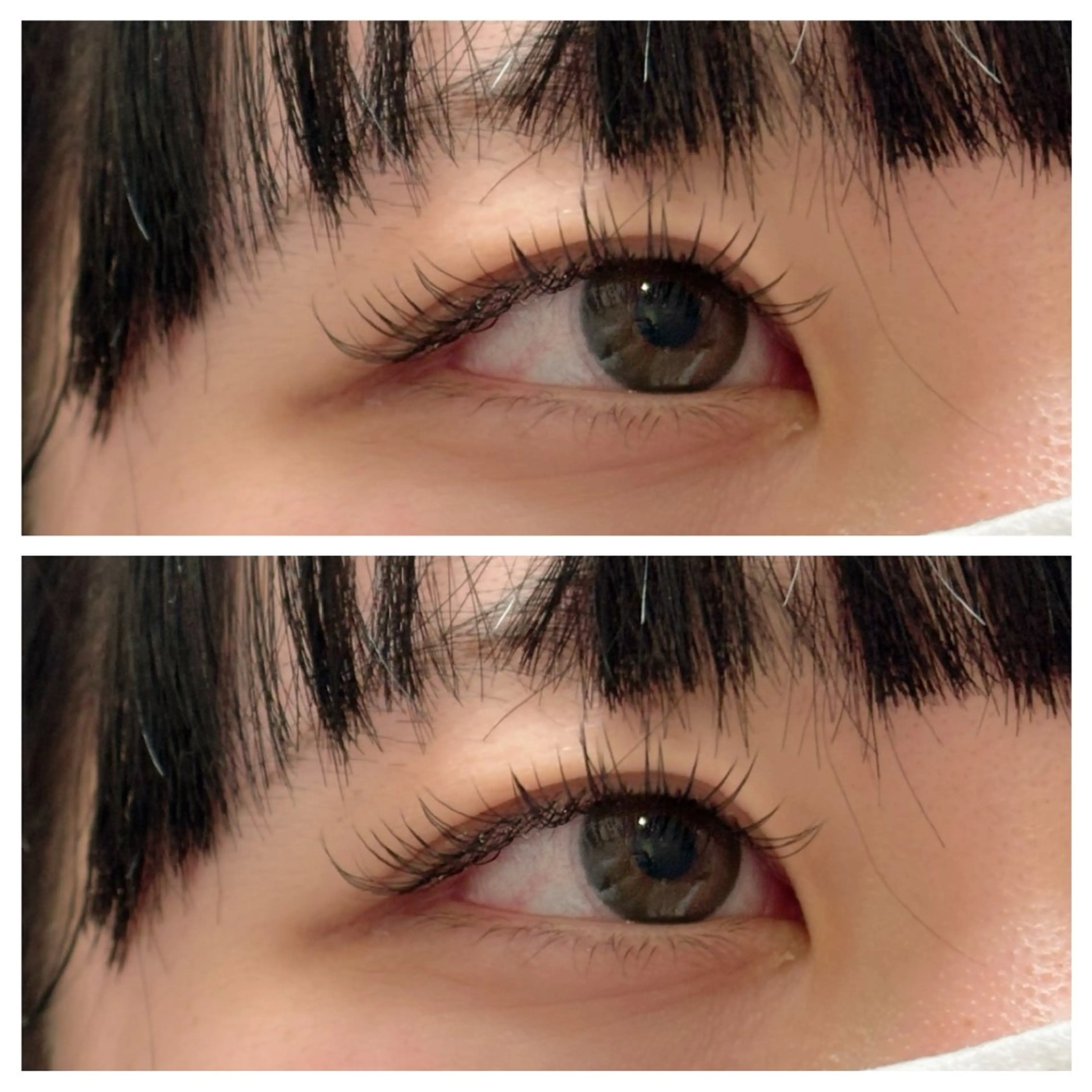 マツエク・マツパ マツエク Ayumi.dre 🌸Y《2階》のマツエク・マツパデザイン