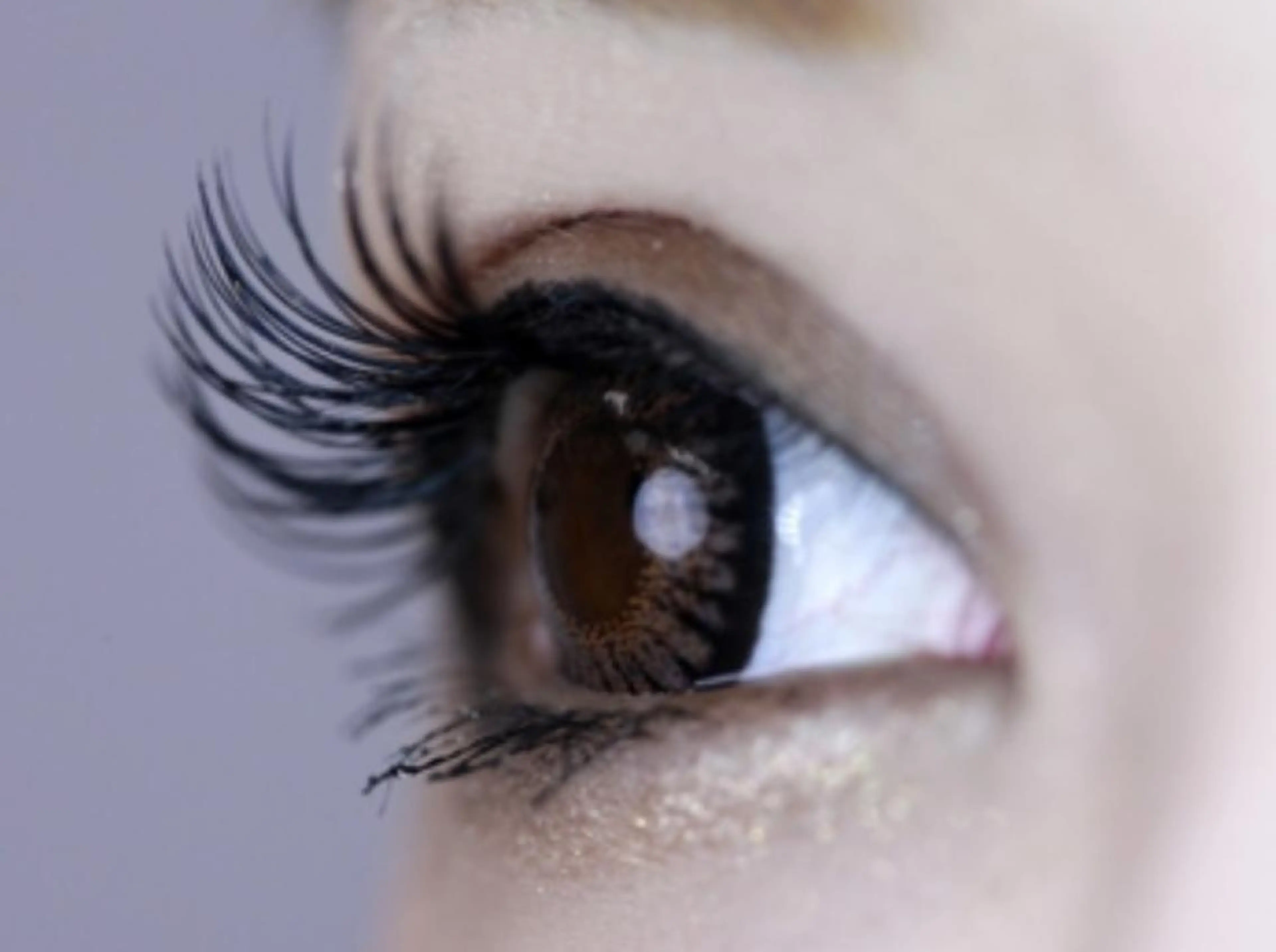 マツエク・マツパ マツエク ARPEGE eyelash新小岩のマツエク・マツパデザイン