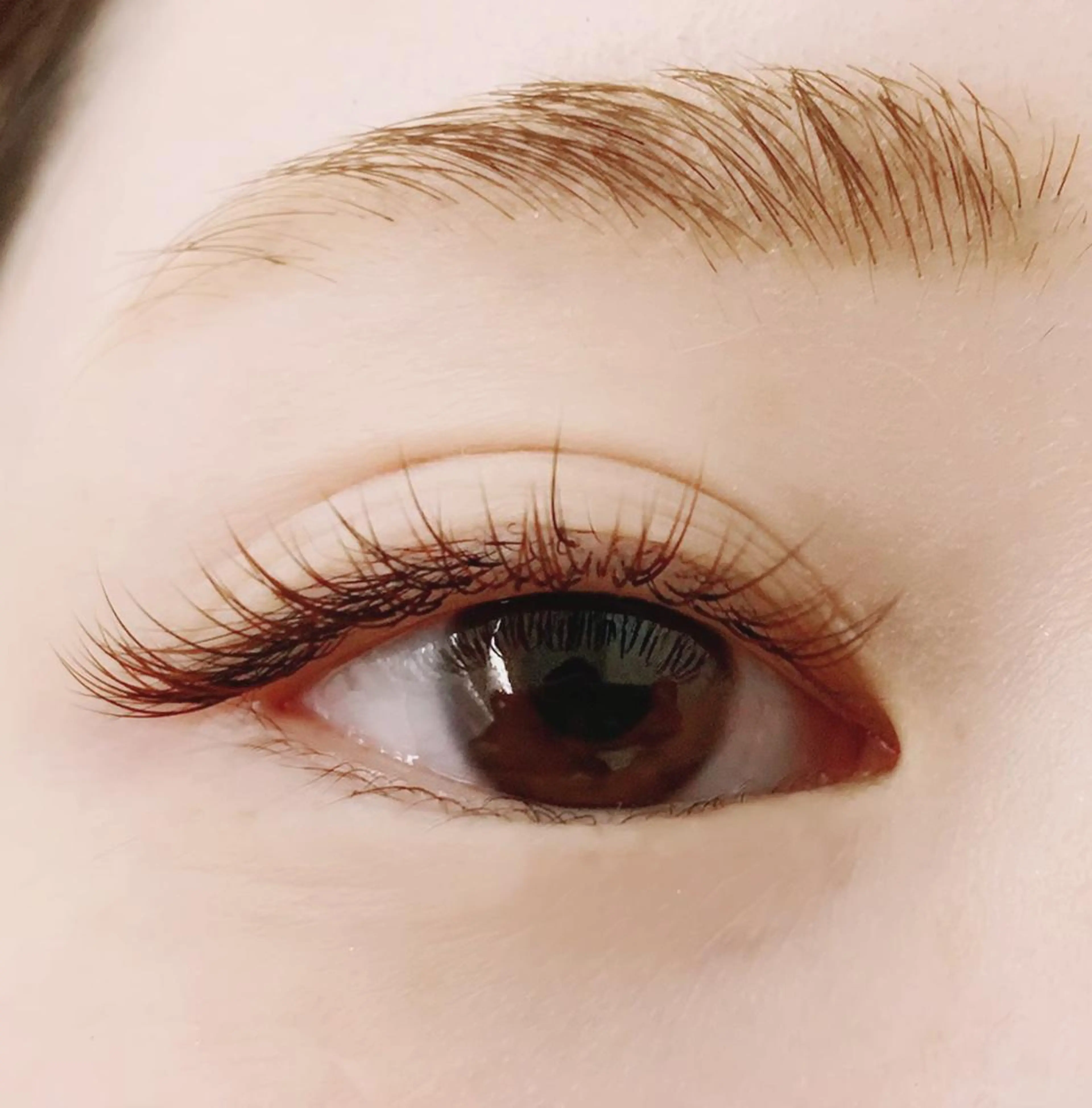 マツエク・マツパ カラーマツエク 【ぱっちり職人】 店長 矢吹のマツエク・マツパデザイン