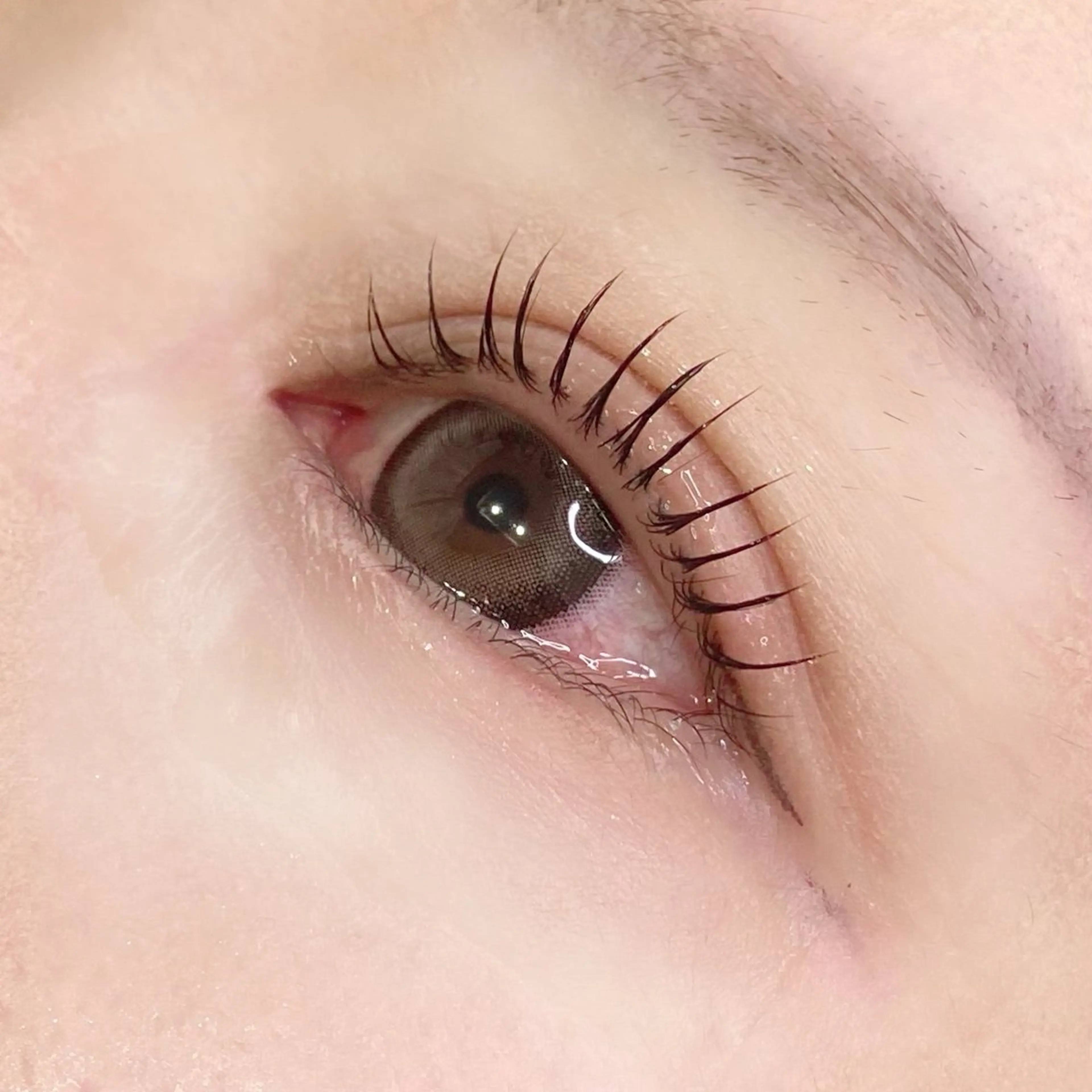 マツエク・マツパ マツパ gioia 根津のマツエク・マツパデザイン