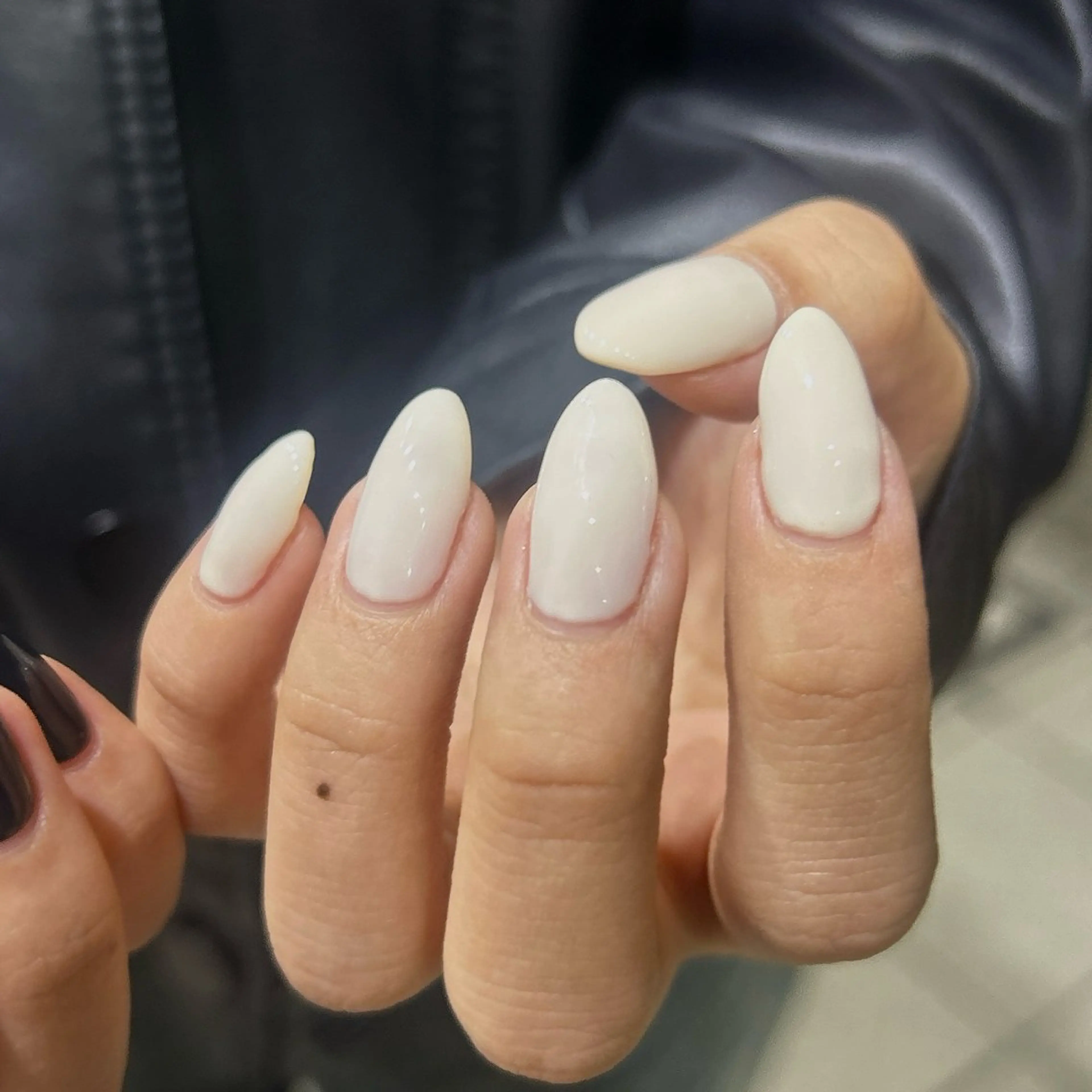 ワンカラー🐶🐾の写真