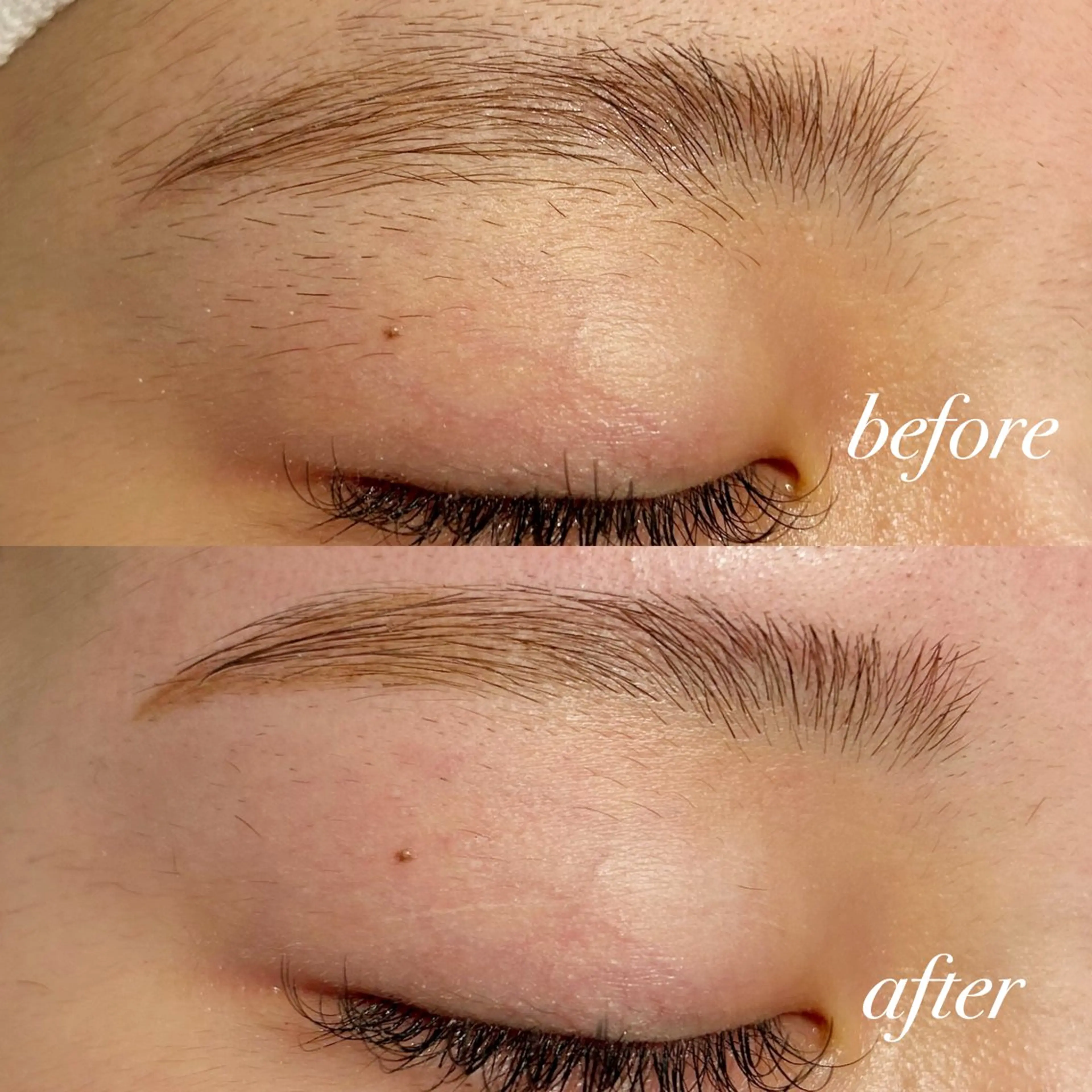 アイブロウ ワックス脱毛 眉カット その他(アイブロウ) Lily所属・横浜/鶴屋町/美容室 LilyHitomiの眉毛・アイブロウイメージ