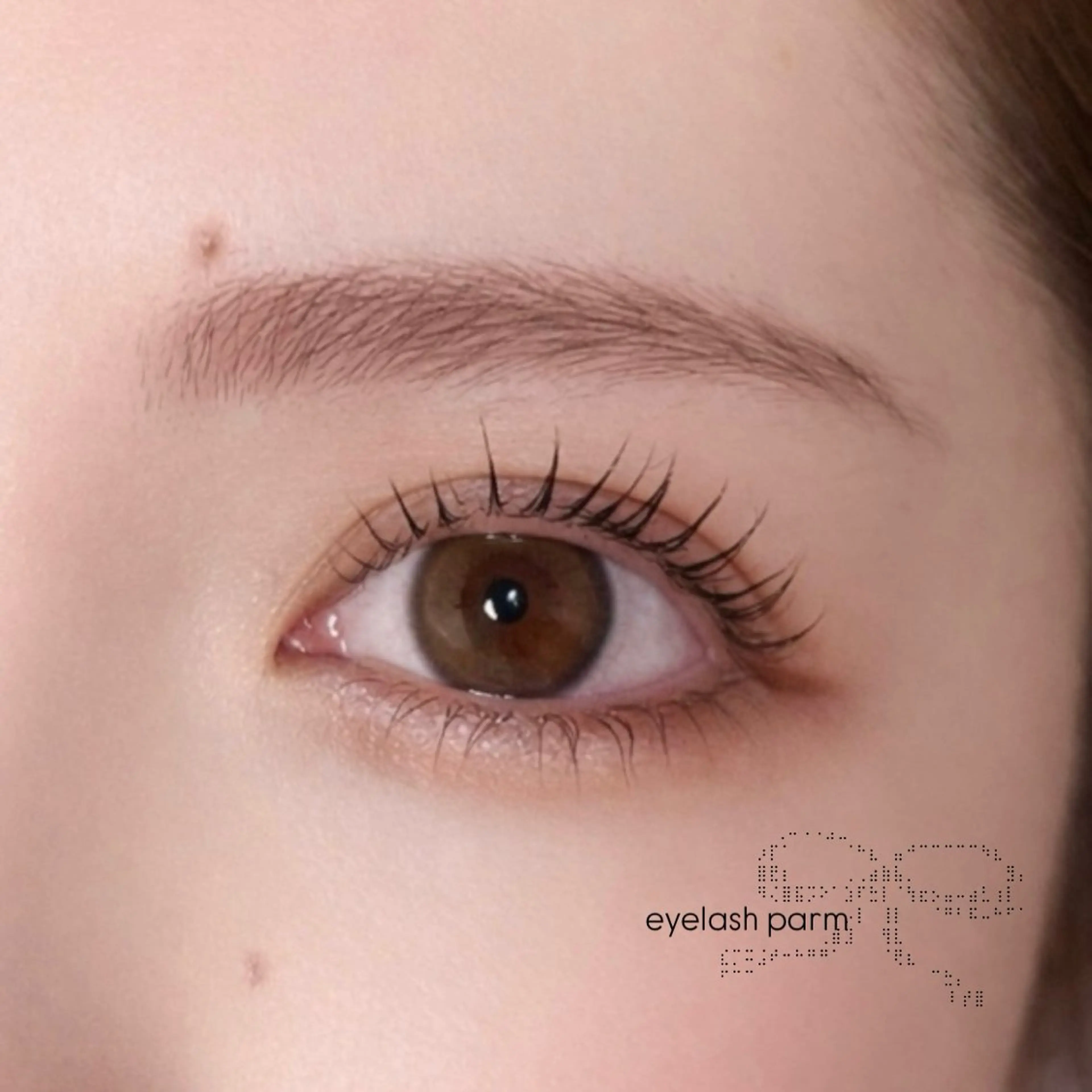 マツエク・マツパ マツパ Ayumi.dre 🤍T 〈2階〉のマツエク・マツパデザイン