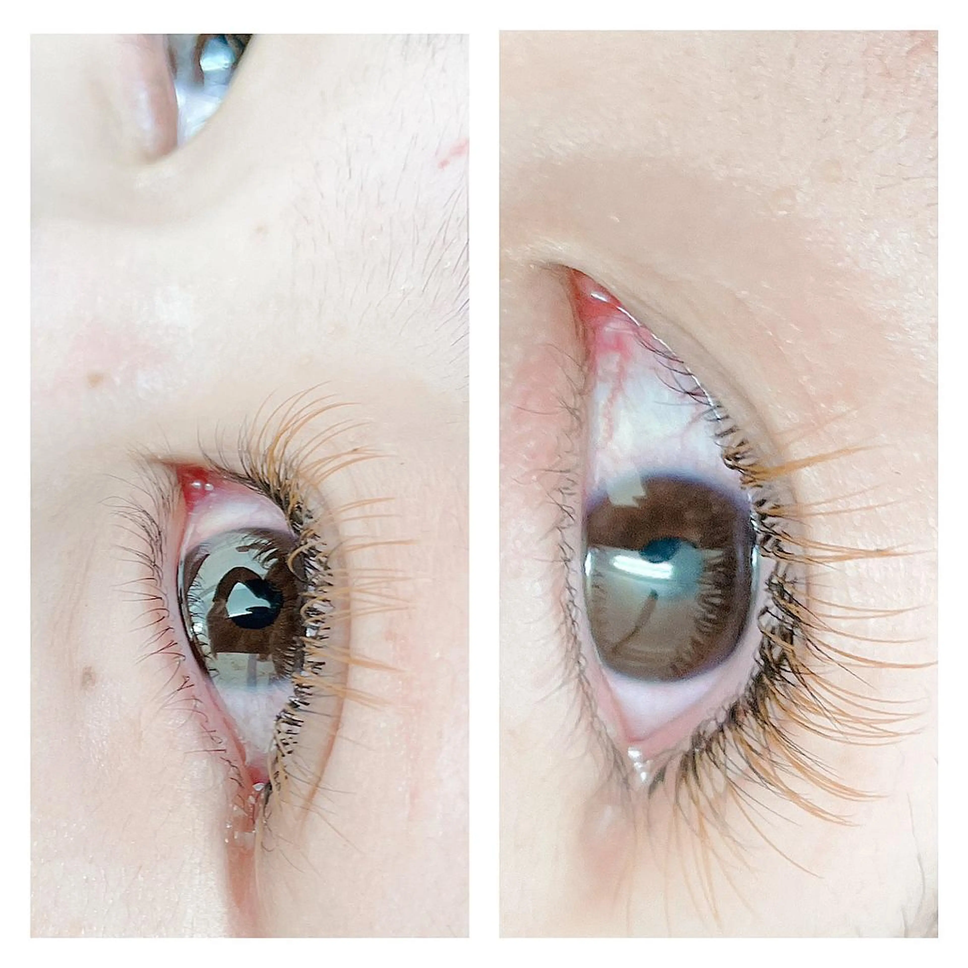 初回平日♥︎茶色以外のカラーエクステꇐꇐ*上100本〜orボリューム80束〜の写真