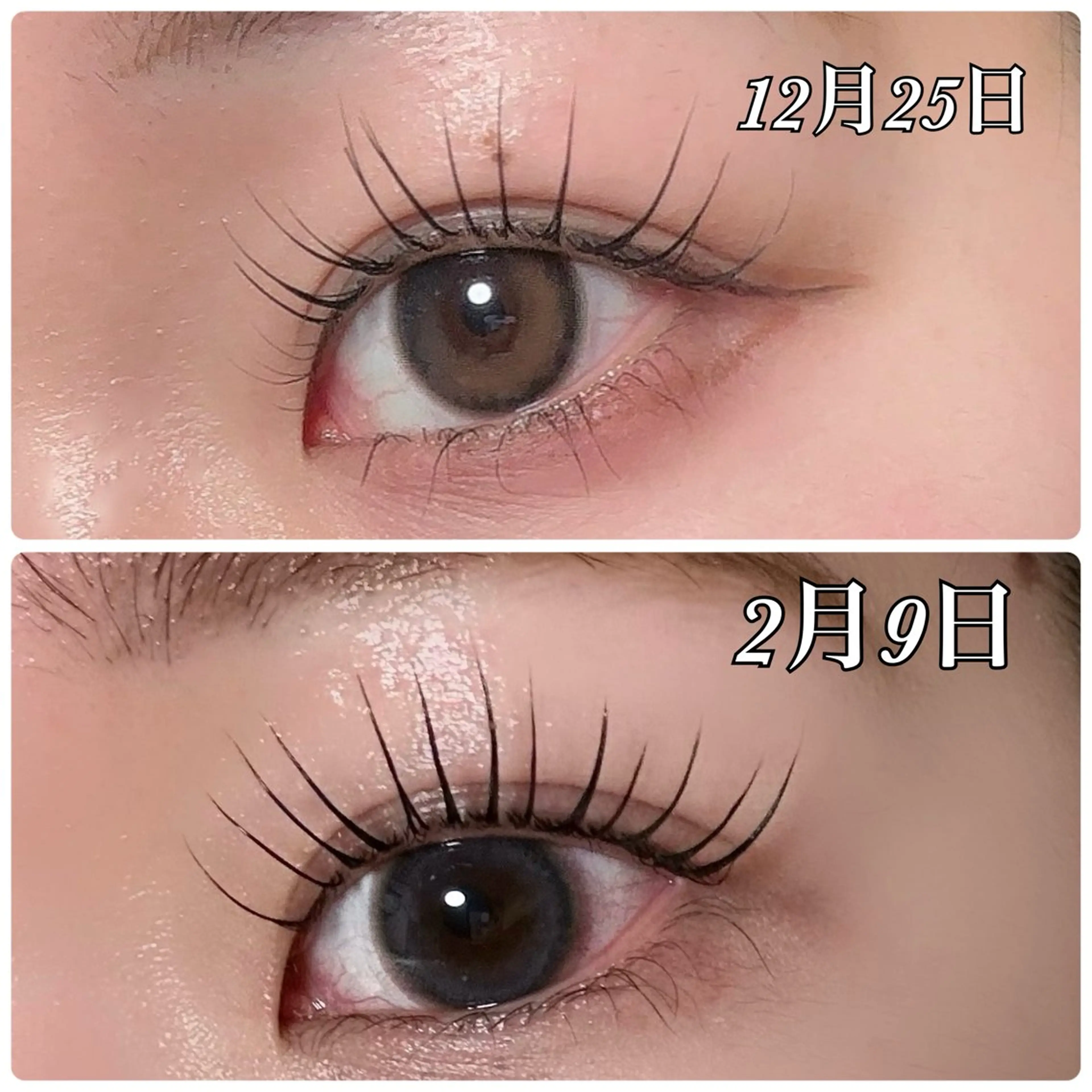 マツエク・マツパ 【まつ毛パーマ専門】 u*Nerine堤のマツエク・マツパデザイン