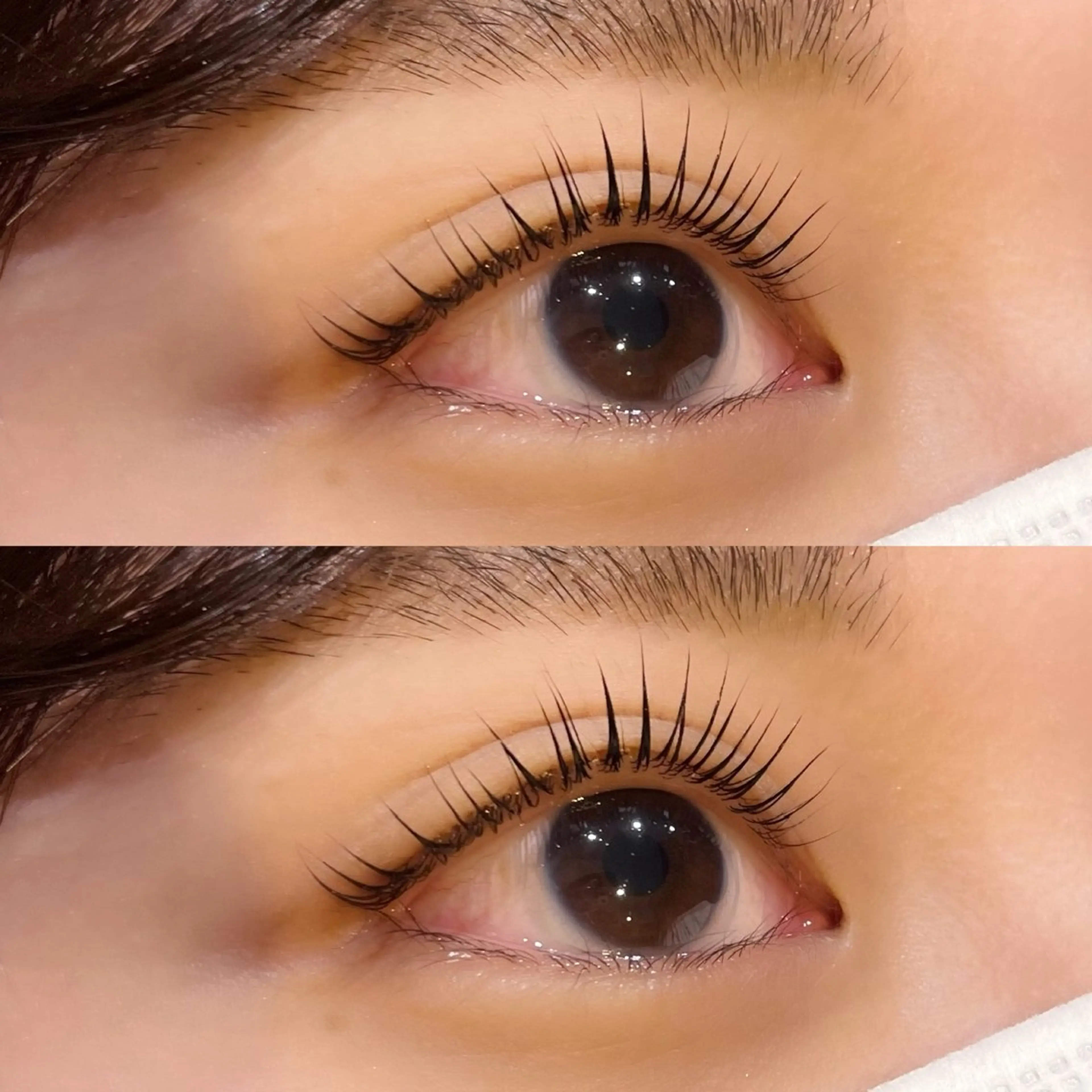 🛁アイシャンプー付き🛁🎀韓国束感まつ毛パーマ🎀コーティング仕上げ付き/パリジェンヌ風デザインも🙆🏻‍♀️の写真