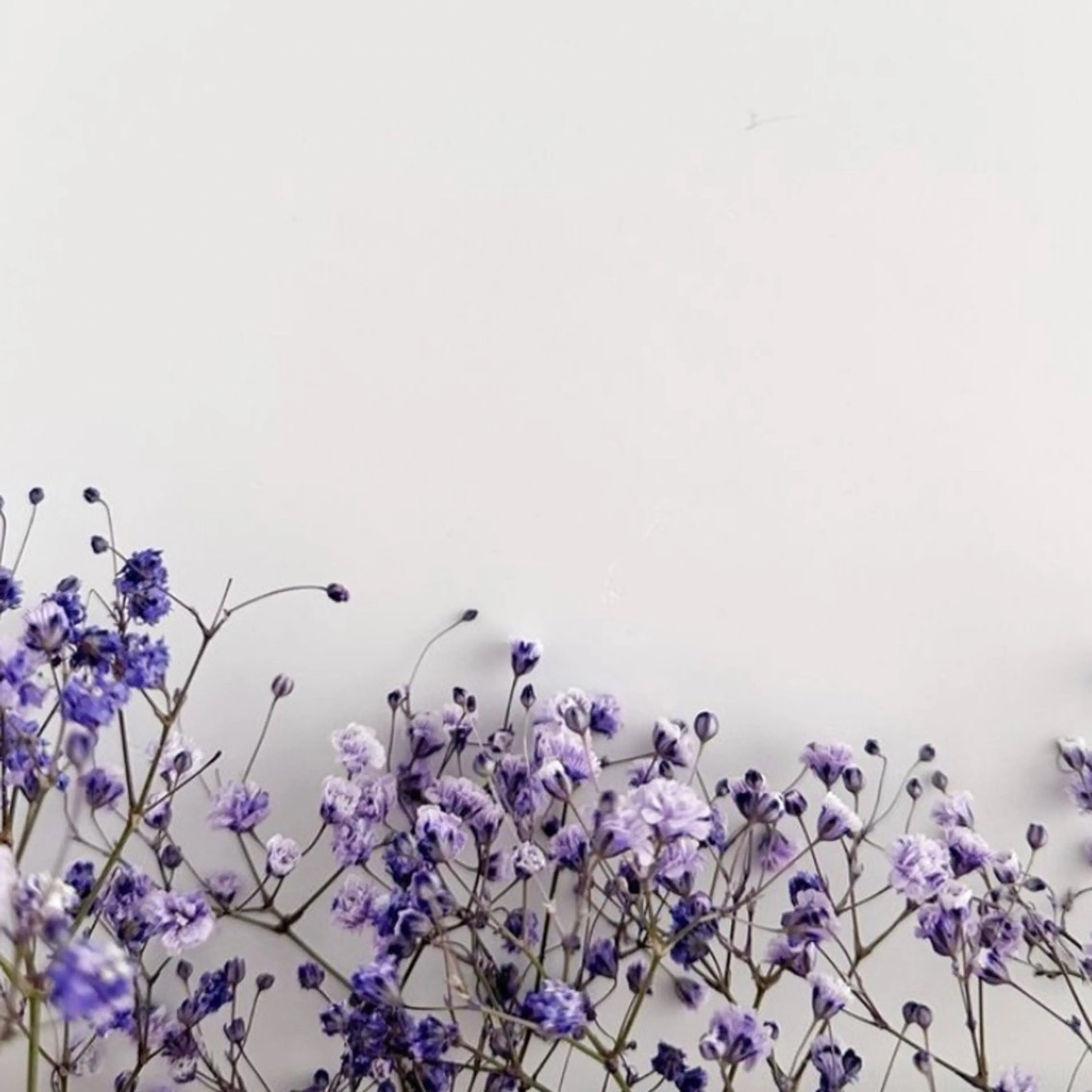 マツエク・マツパ リスブラン AKARIのマツエク・マツパデザイン