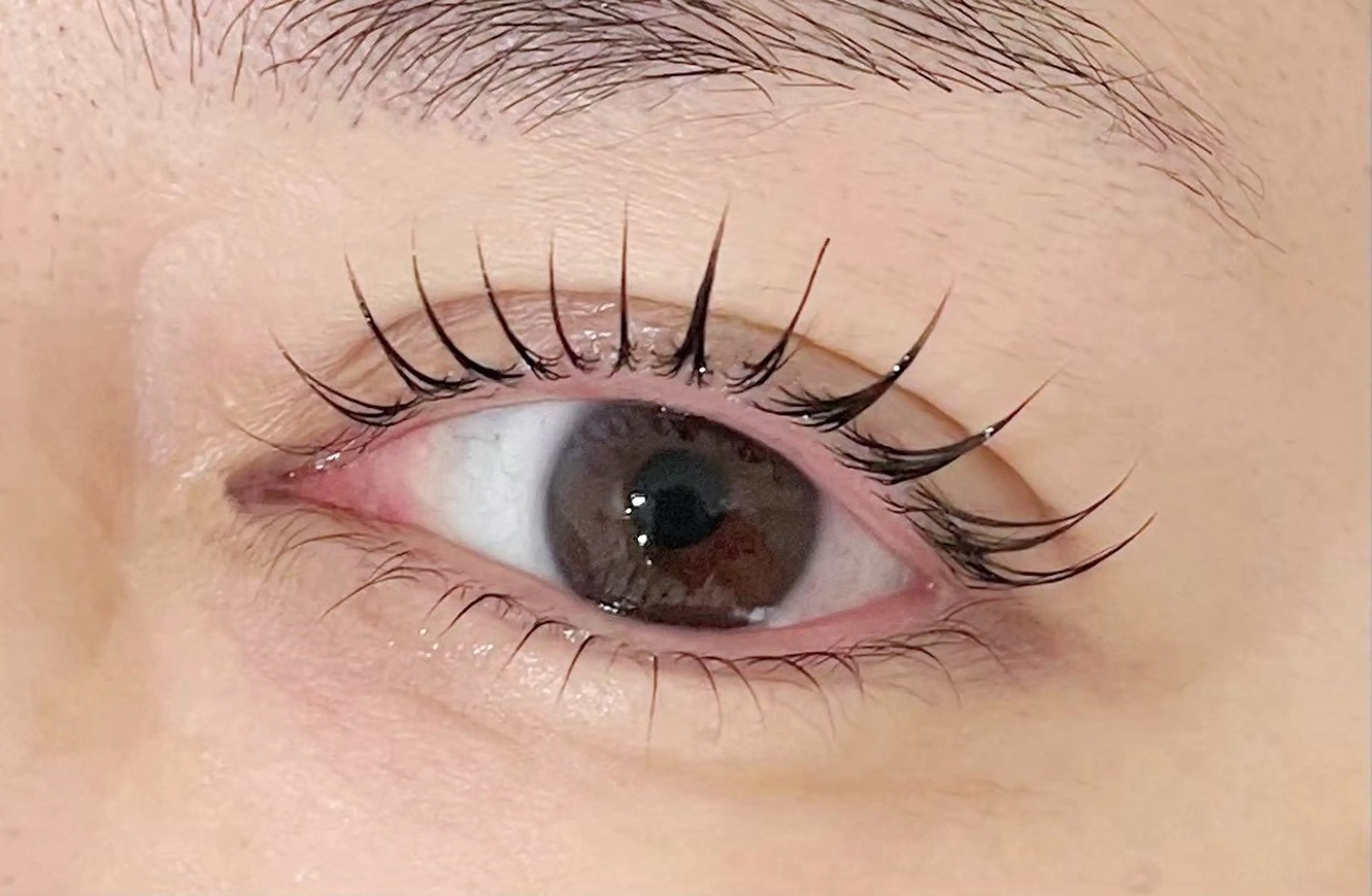 逆さまつげさんお悩み解決💛上下まつ毛パーマの写真