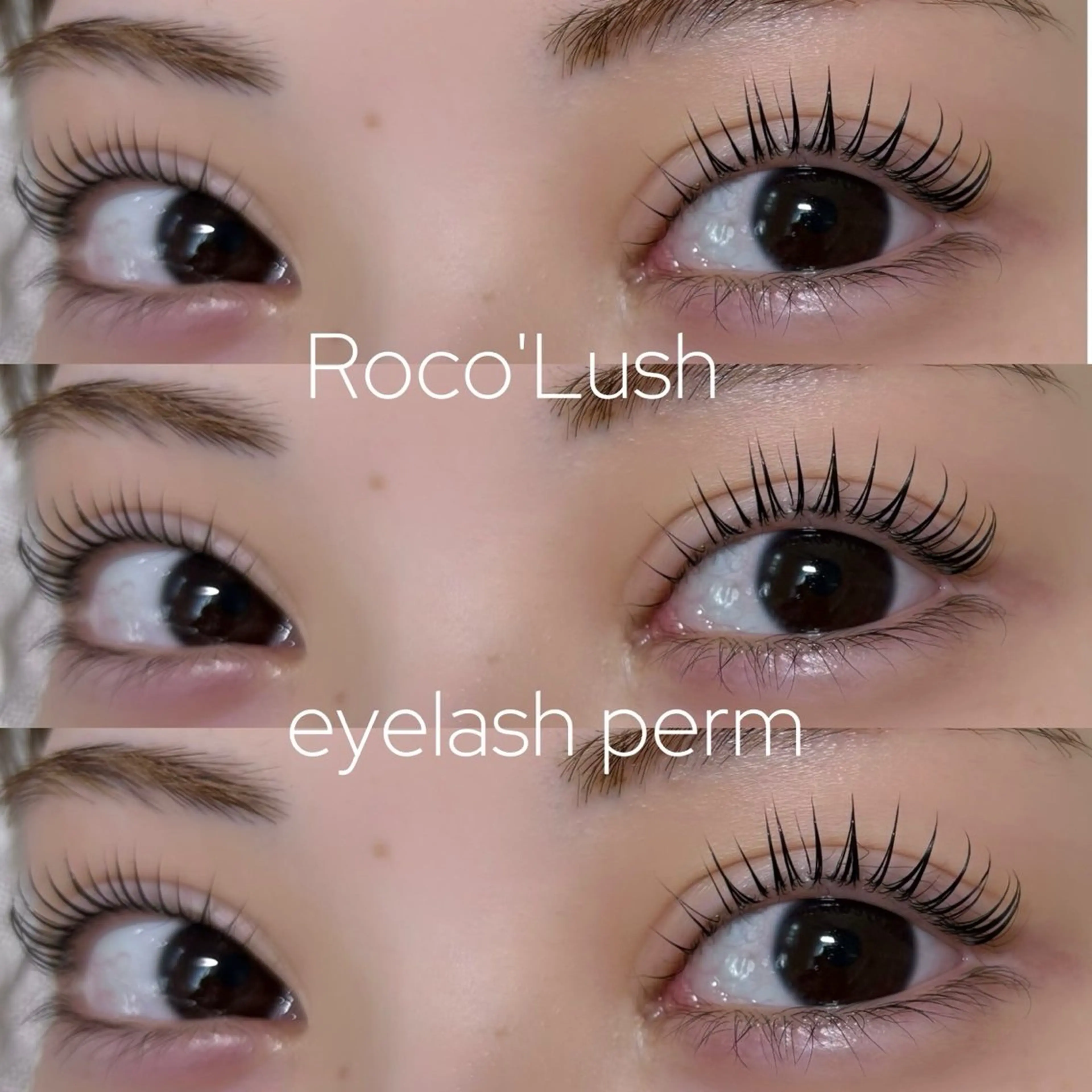 マツエク・マツパ マツパ Roco lush 🍑TOMOのマツエク・マツパデザイン