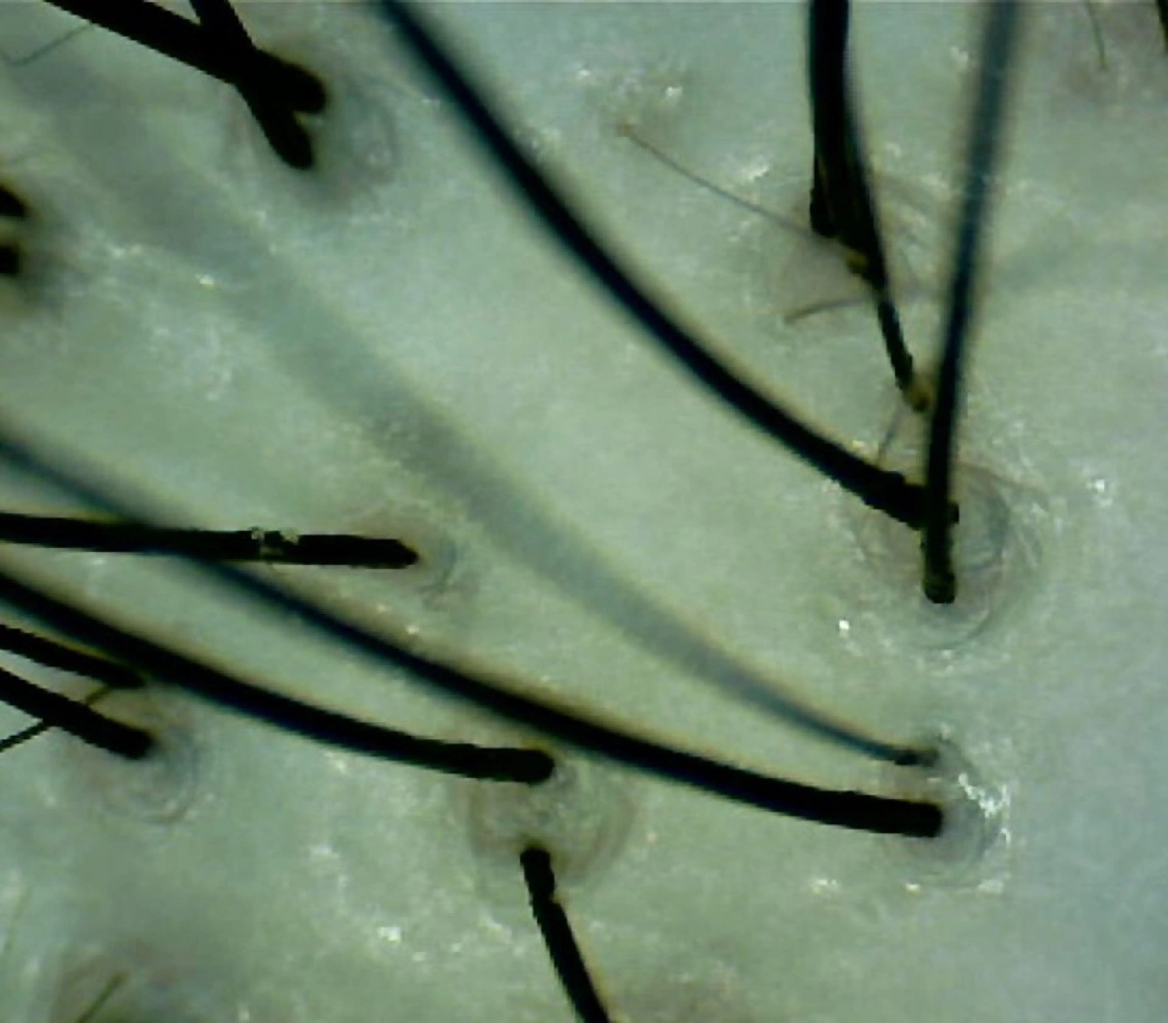 ✨デトックス職人✨ To-Hiらぼのヘアスタイル