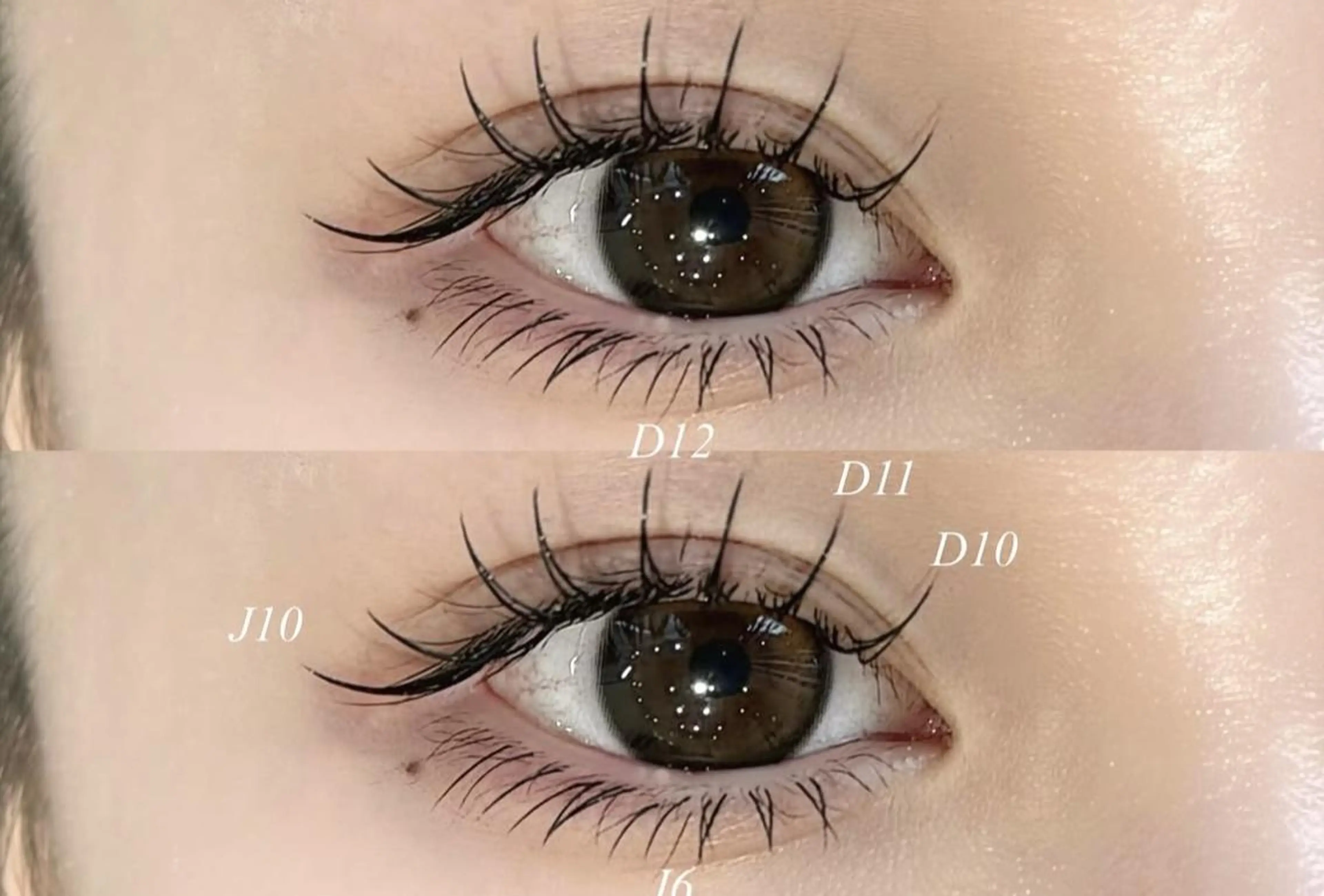 マツエク・マツパ アンジュベル Ginzaのマツエク・マツパデザイン