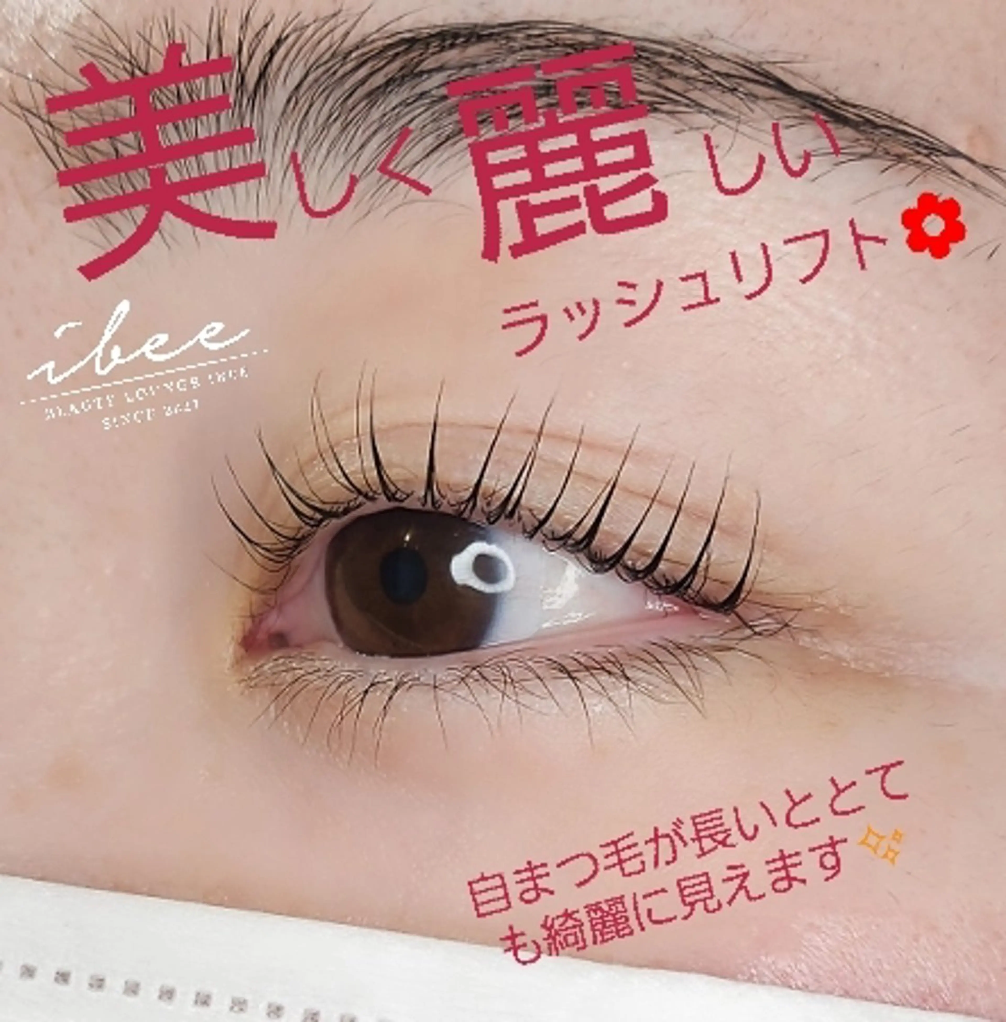 マツエク・マツパ ibee eye🧸 Teradaのマツエク・マツパデザイン