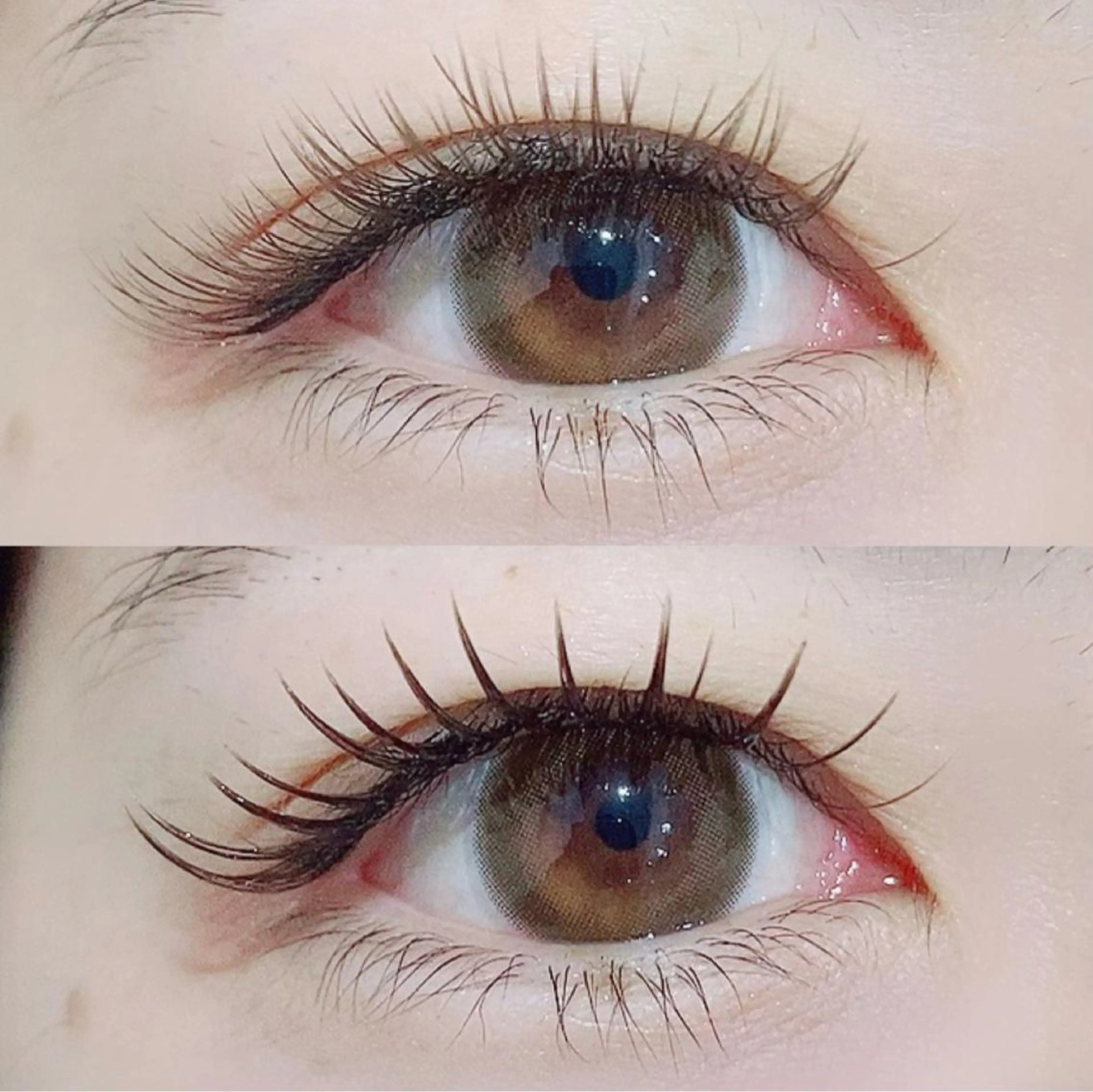 ãããšã¯ã»ããã ææãŸã€æ¯ RIGOLETTO ð€åææè¯ã®ãããšã¯ã»ããããã¶ã€ã³