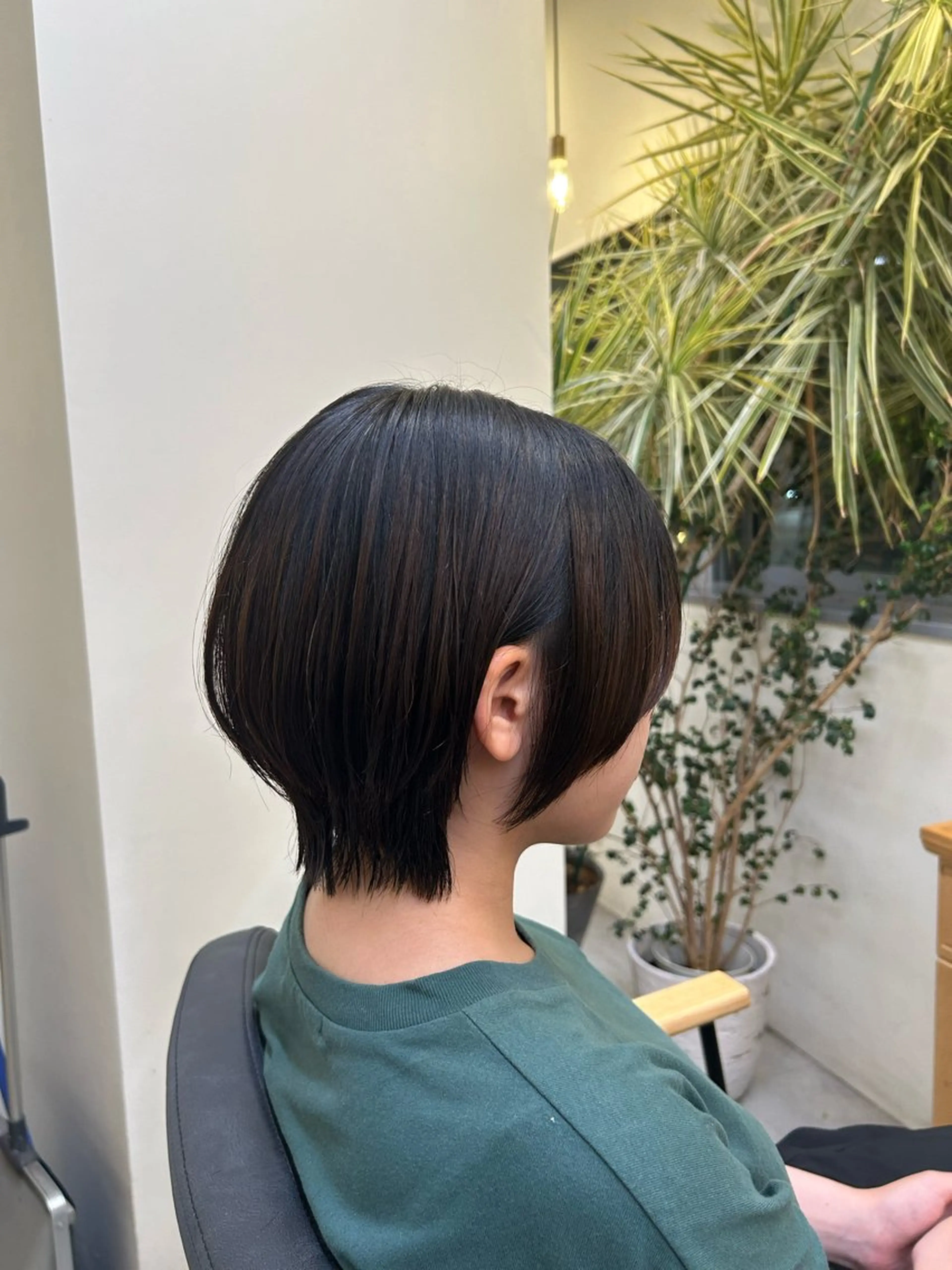 ショートの写真