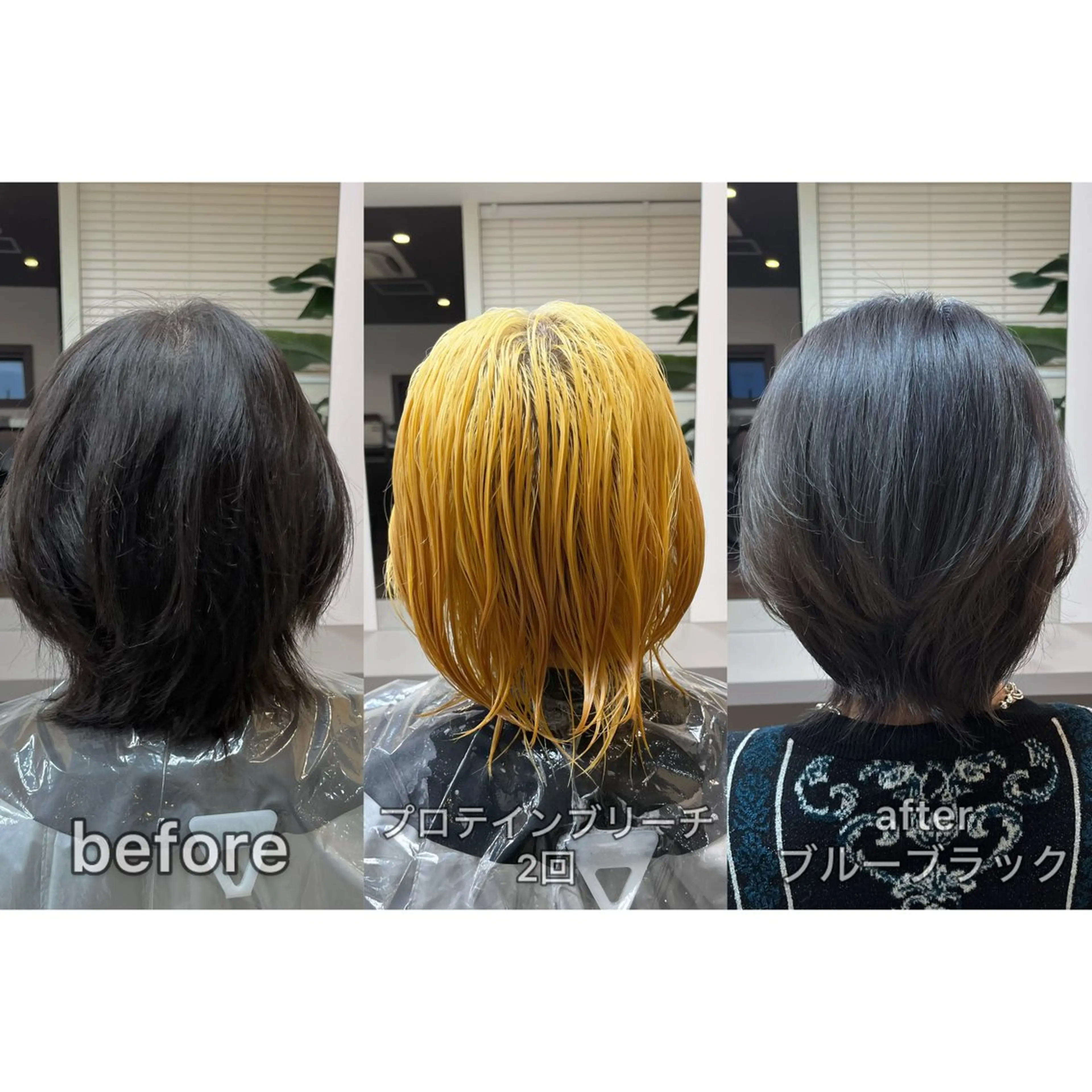 ショート カラー バレイヤージュ 黒髪 ブリーチ ブルーカラー ブルーブラック ヘアカラー 髪質改善特化KIZU /艶髪研究（京都）のヘアスタイル