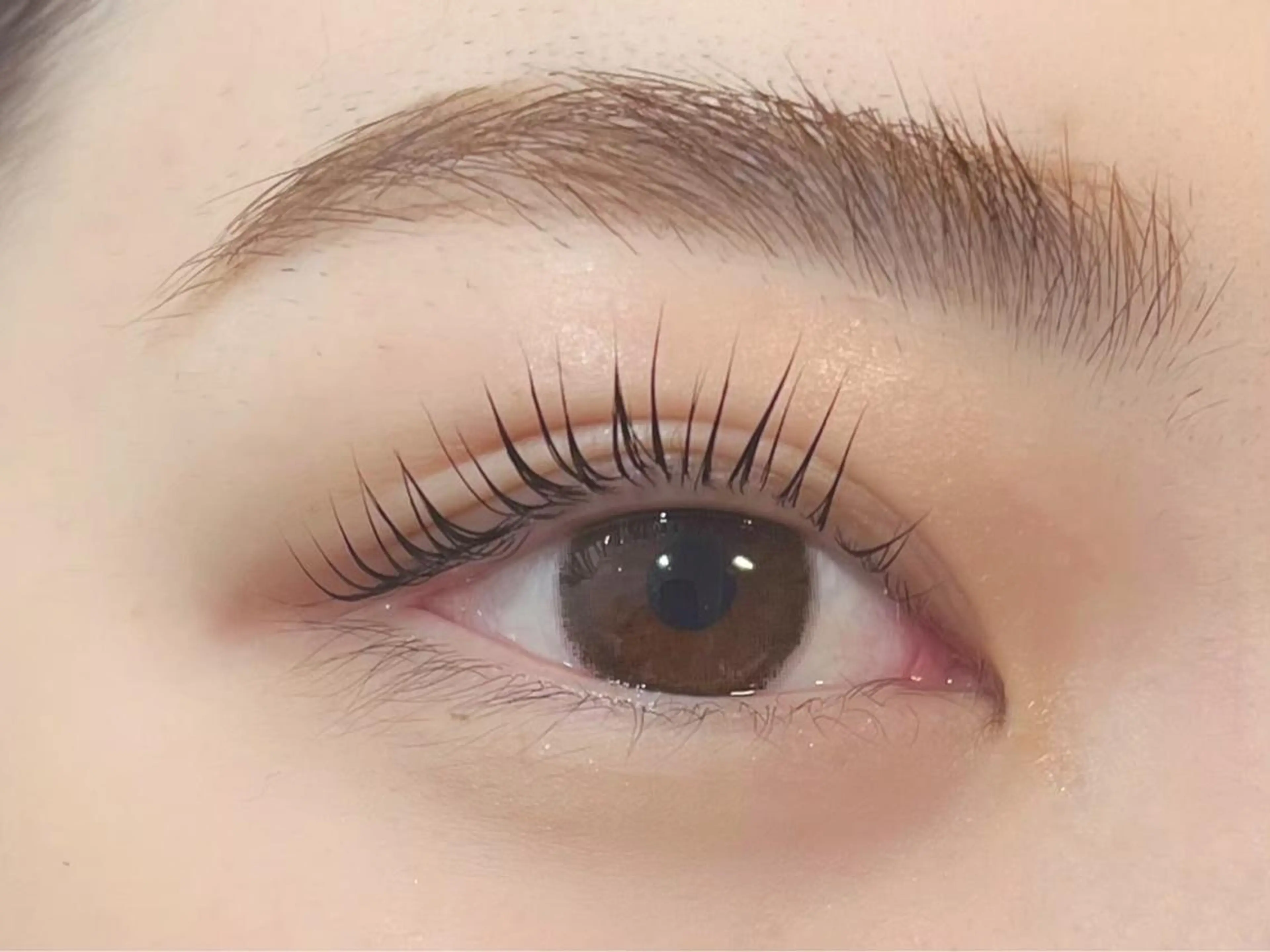 マツエク・マツパ Fiara 研修所💐のマツエク・マツパデザイン