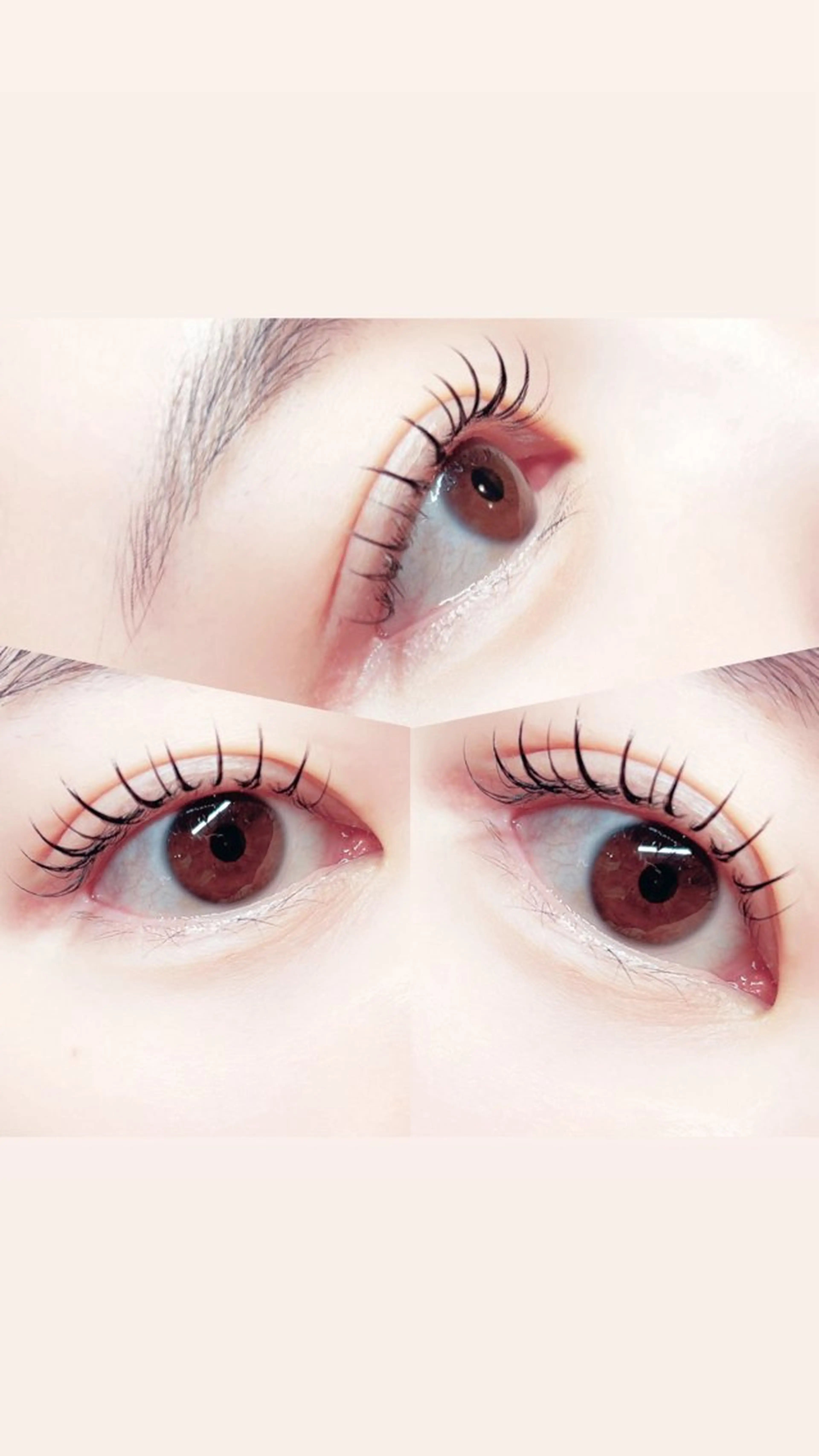 マツエク・マツパ eyelash . noxのマツエク・マツパデザイン