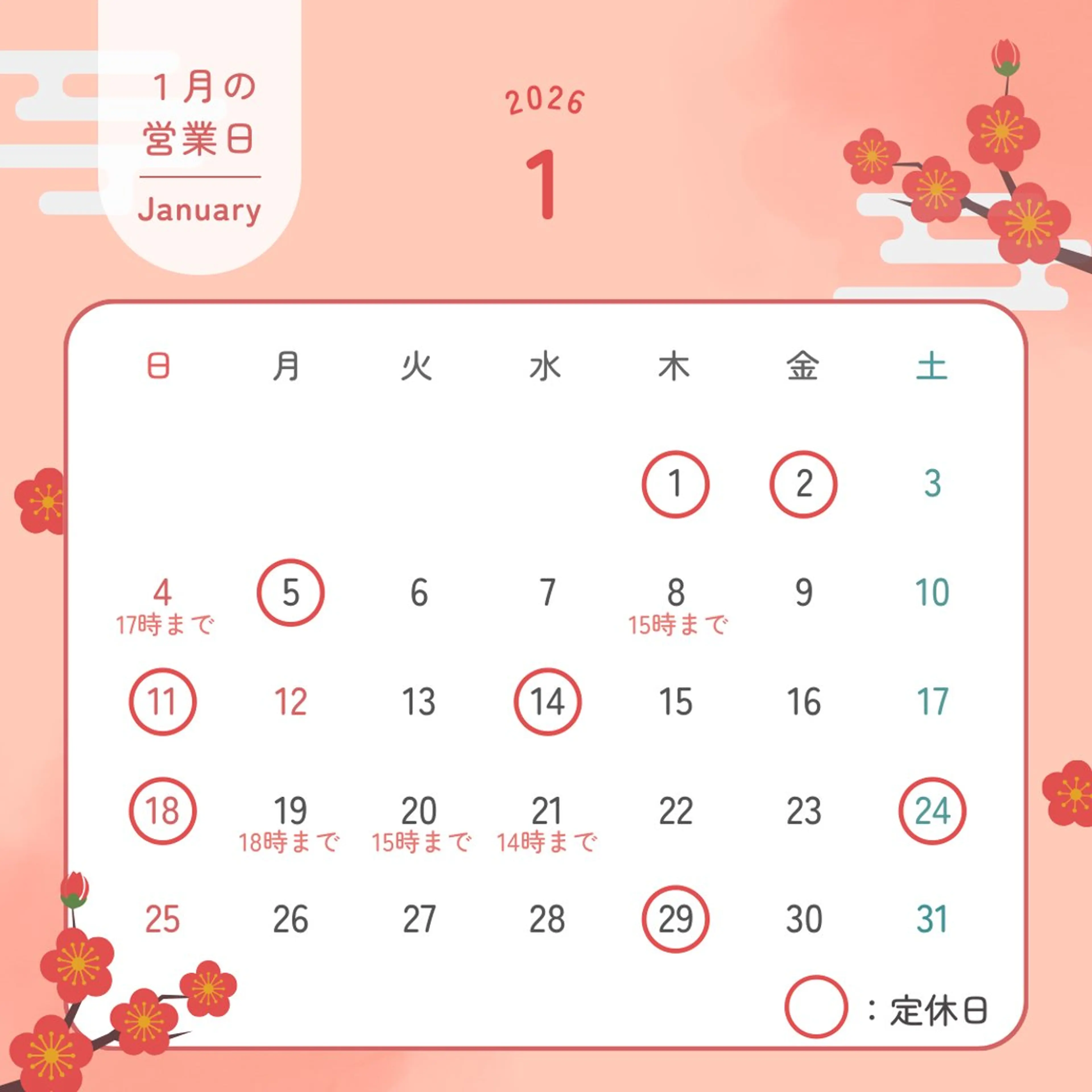 その他 セルフホワイトニング RipiQaのその他イメージ