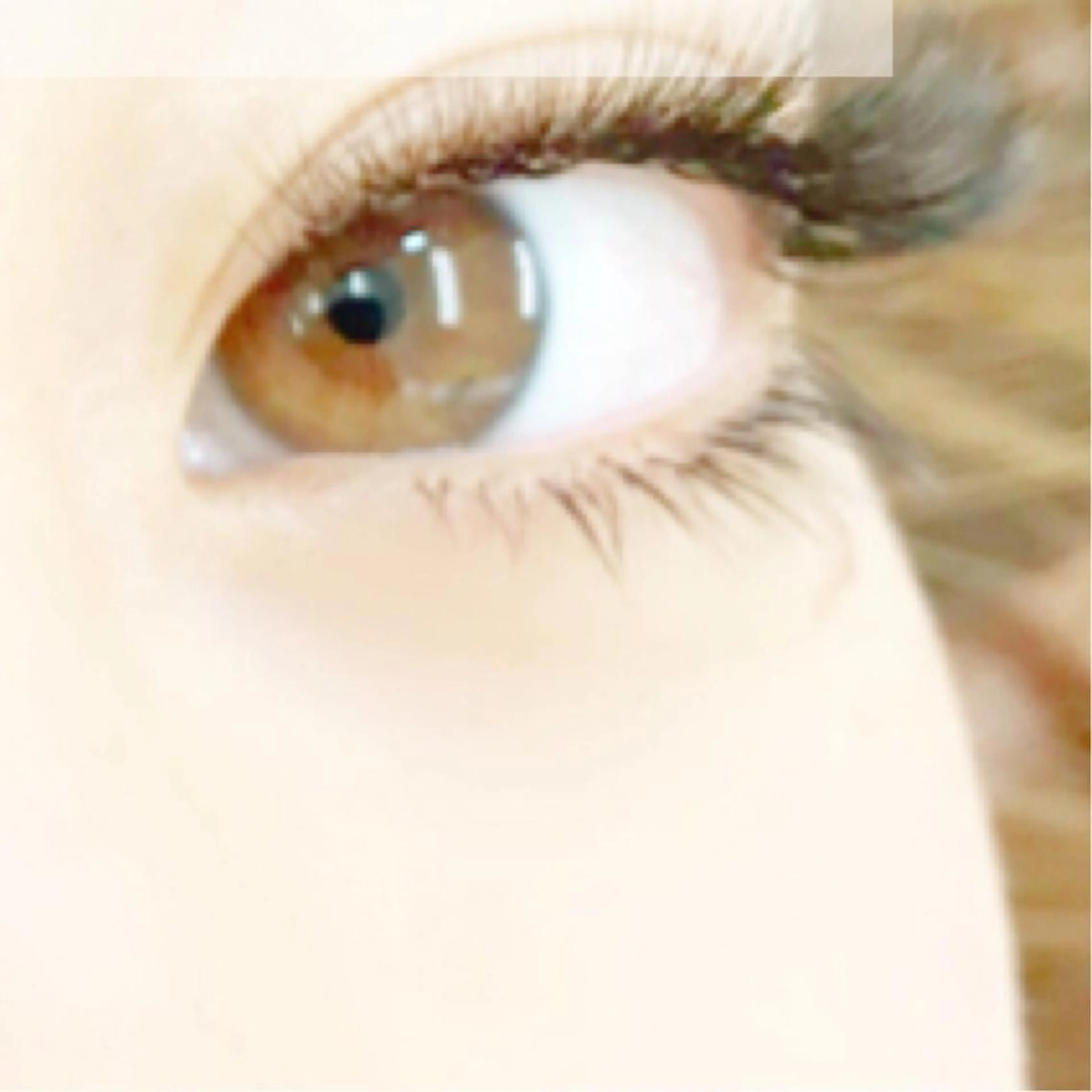 マツエク・マツパ eyelash- r🌹の眉毛・アイブロウイメージ