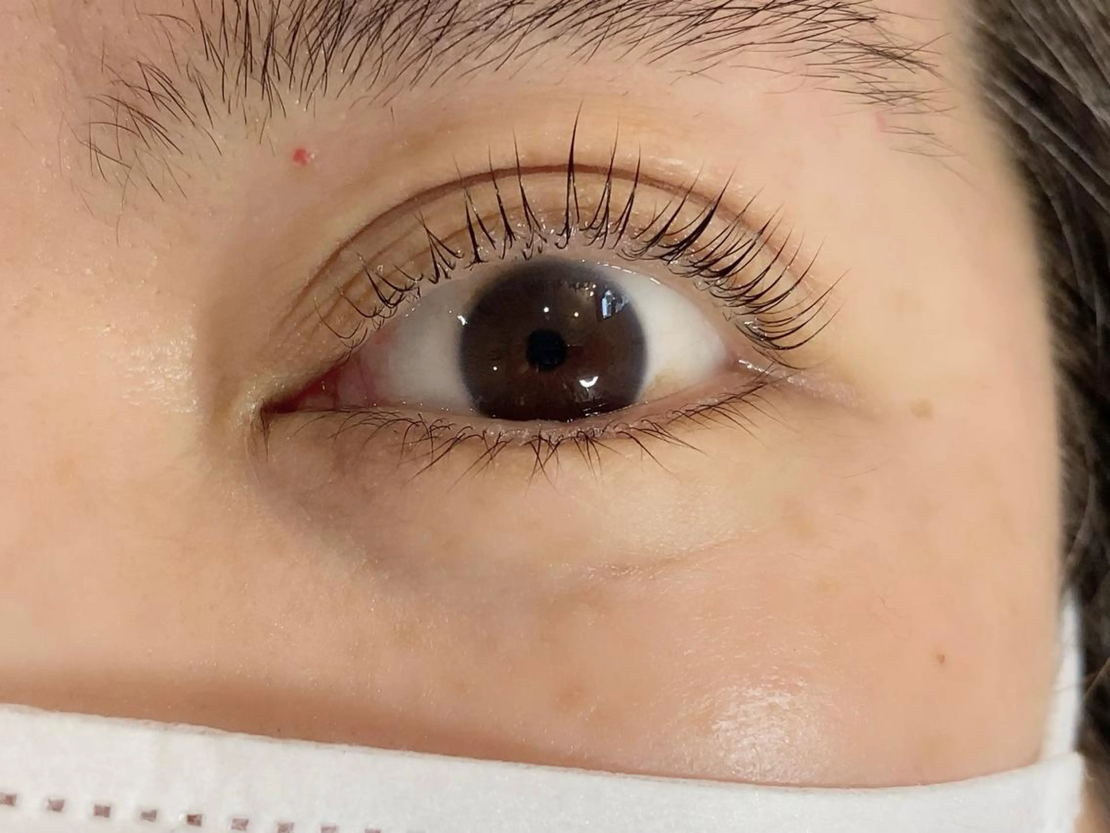 マツエク・マツパ y"salon Lilyのマツエク・マツパデザイン