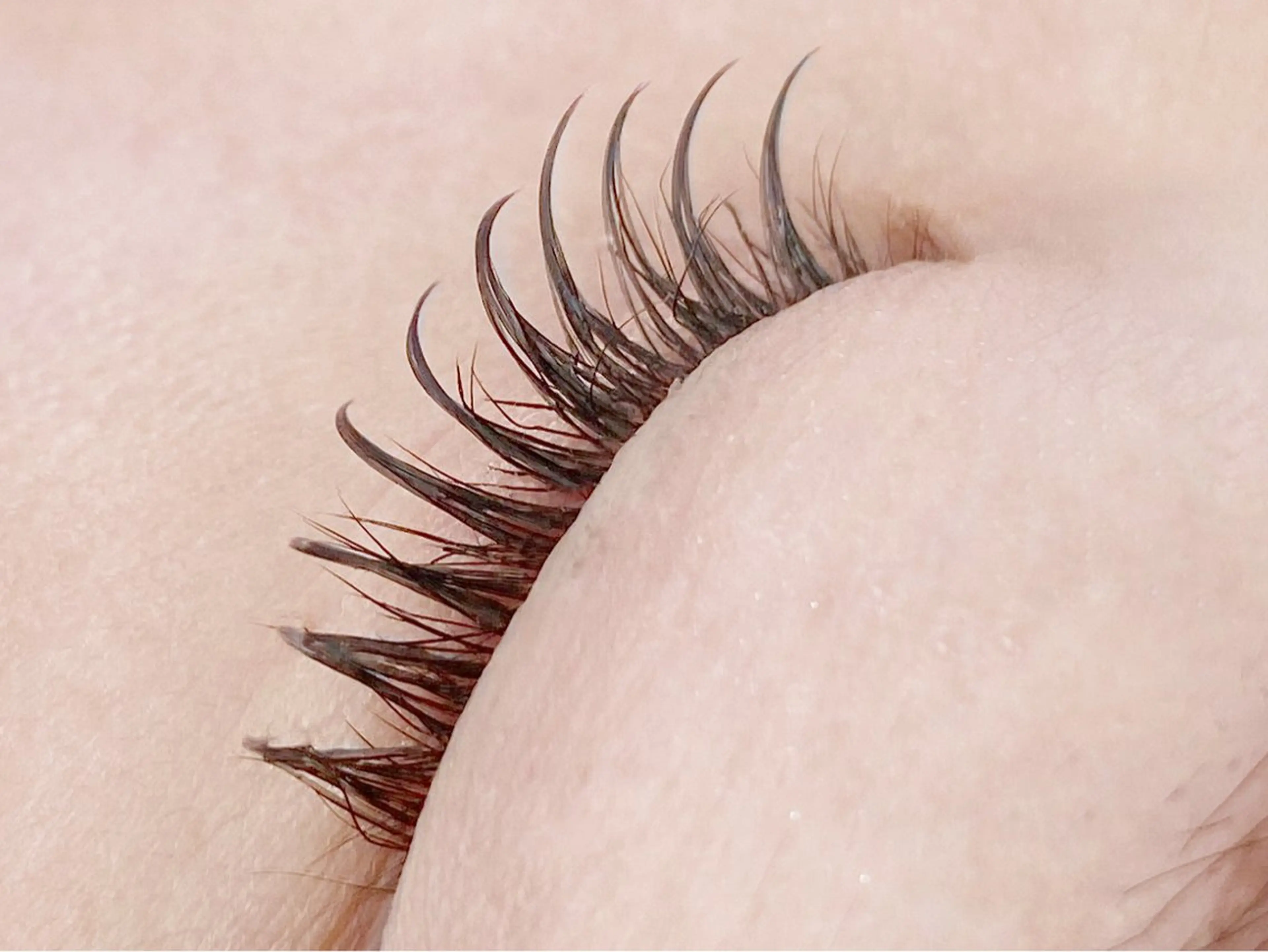 【１５日(水)限定】 ⭐️フラットラッシュ100本の写真