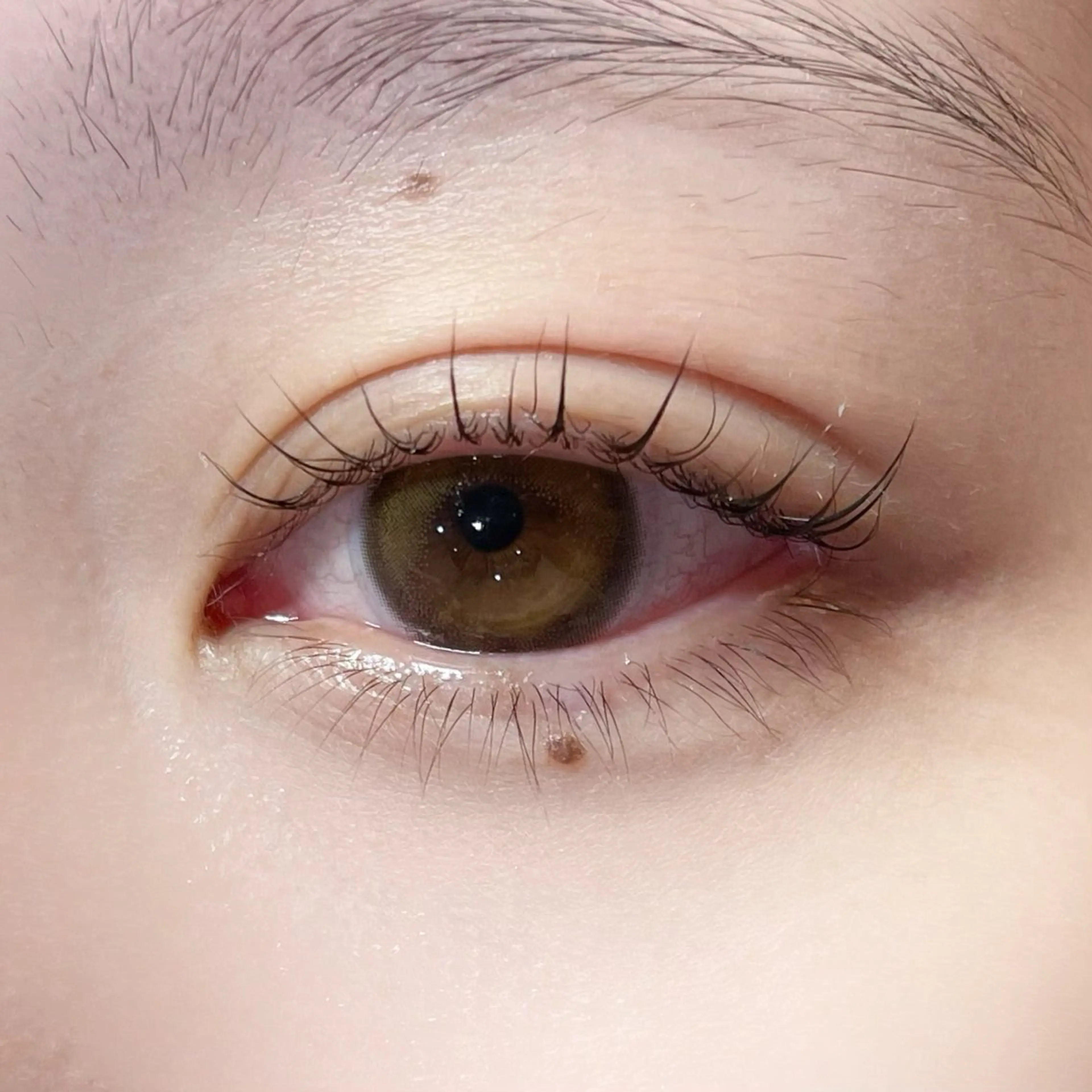 マツエク・マツパ マツパ 櫻井 怜華のマツエク・マツパデザイン