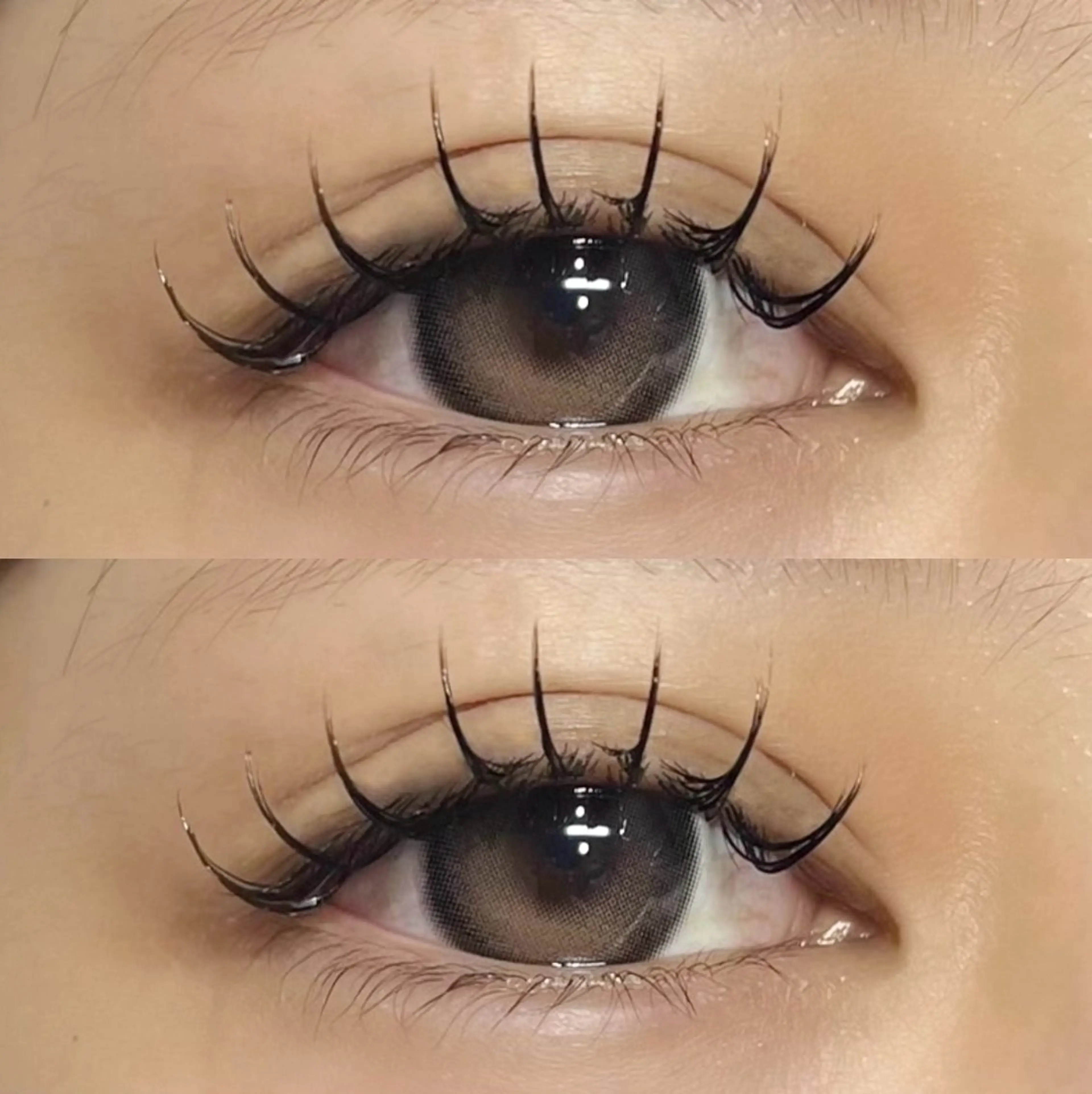 マツエク/ Mink or Sable 120本+仕上げコーティング付き🦋💜の写真
