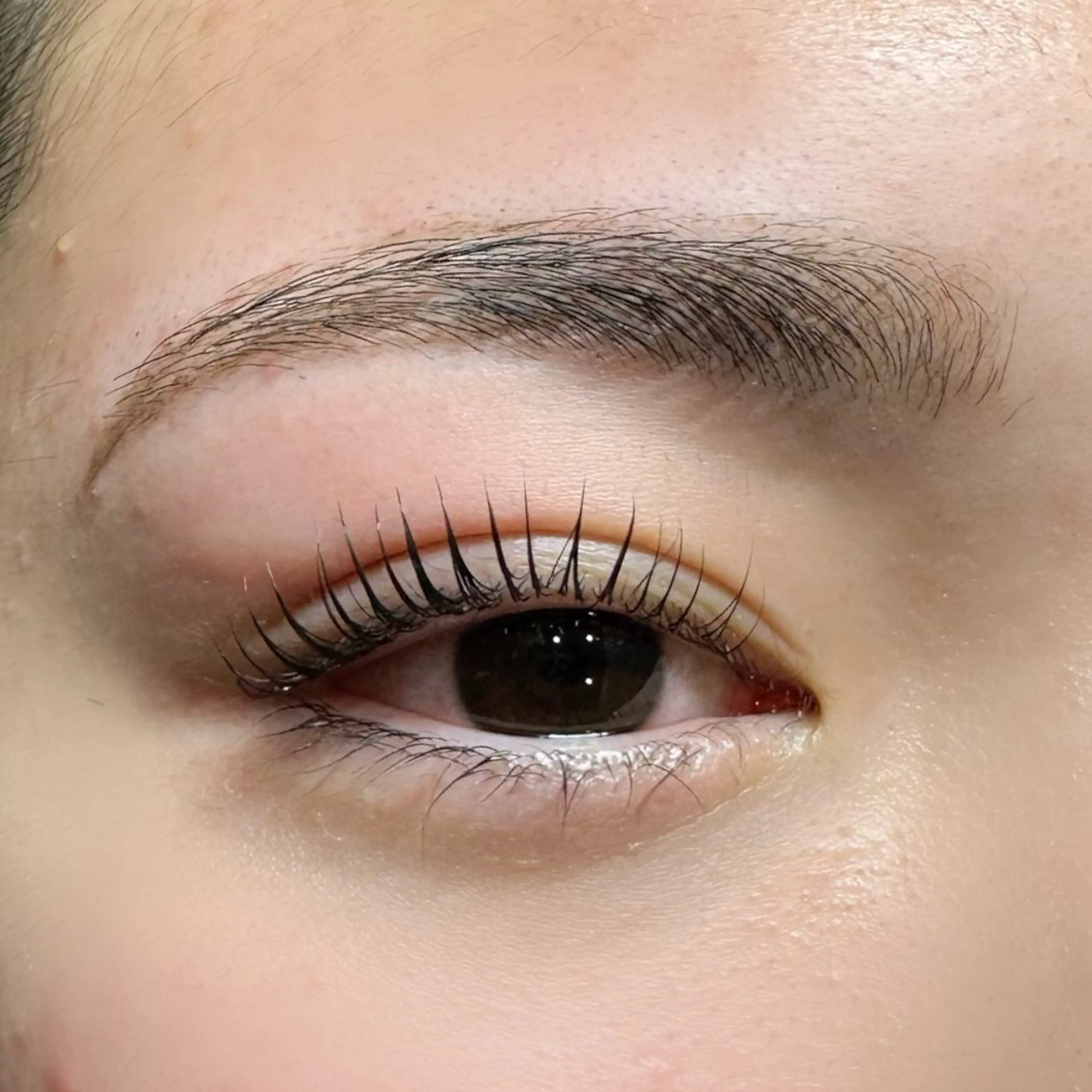 マツエク・マツパ マツパ NOA名駅束感まつげ ×眉毛SENA‪🎀のマツエク・マツパデザイン