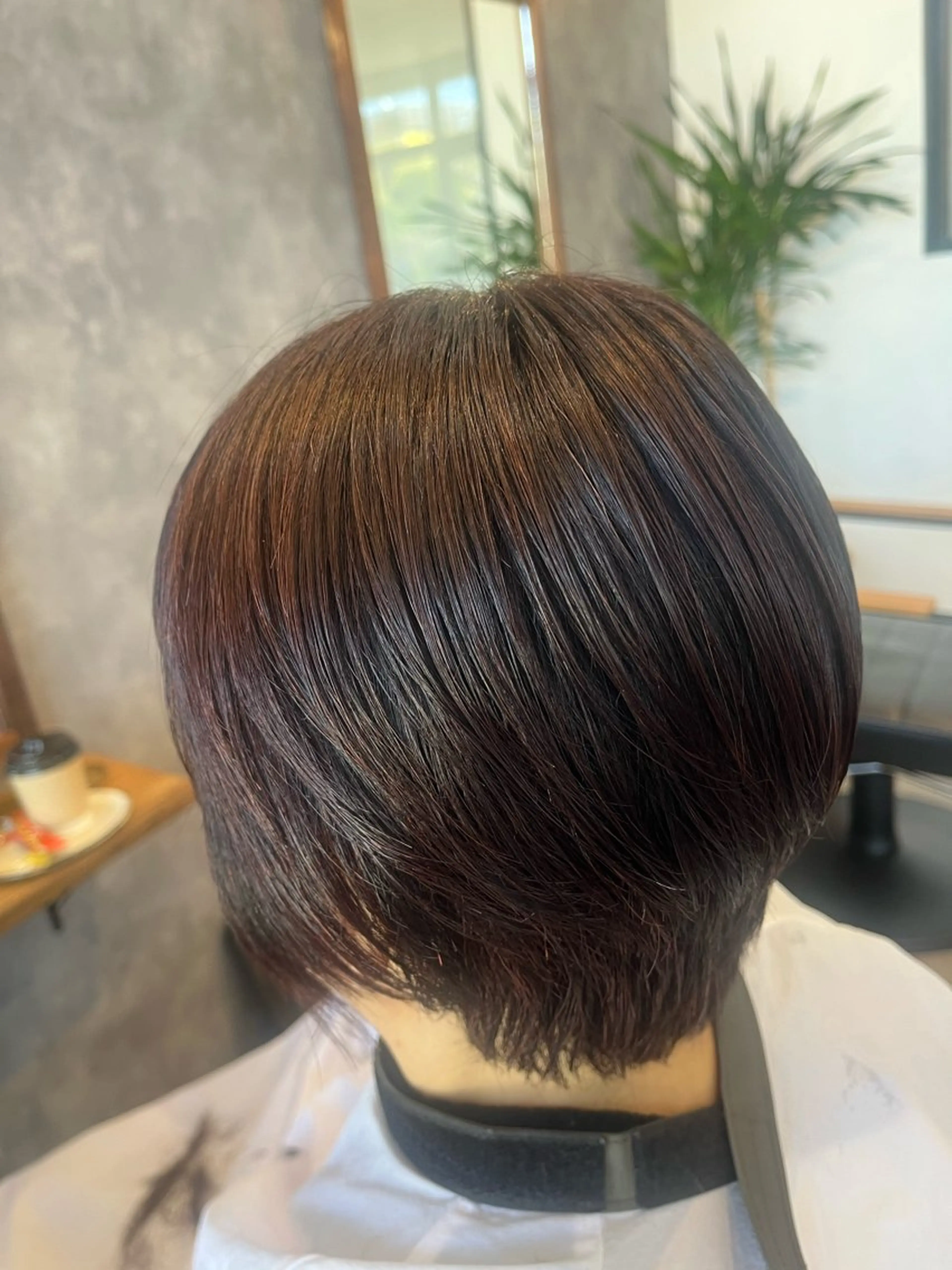 ショート カラー pegu/ gyokueのヘアスタイル