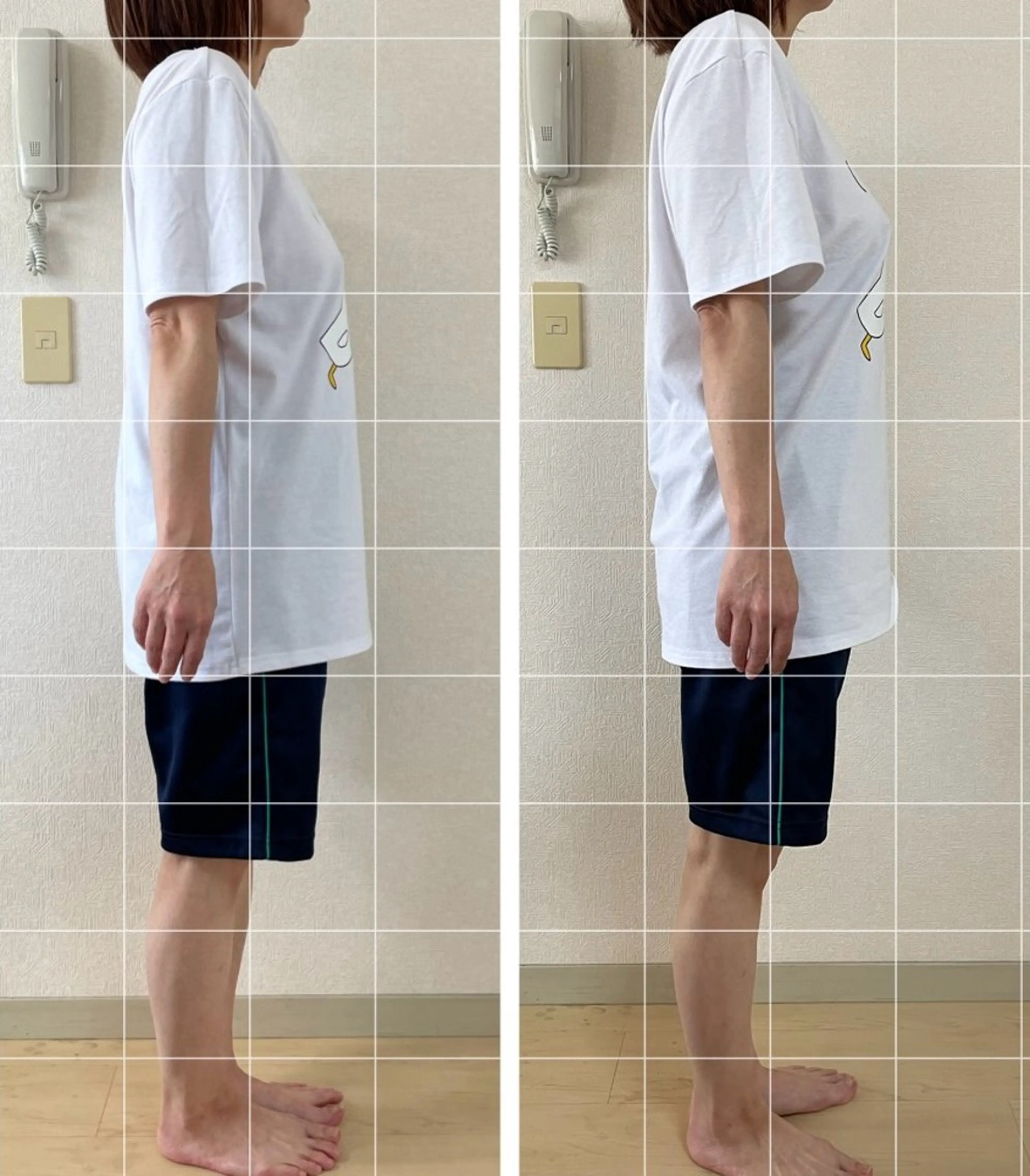 めぐらせの 森のその他イメージ