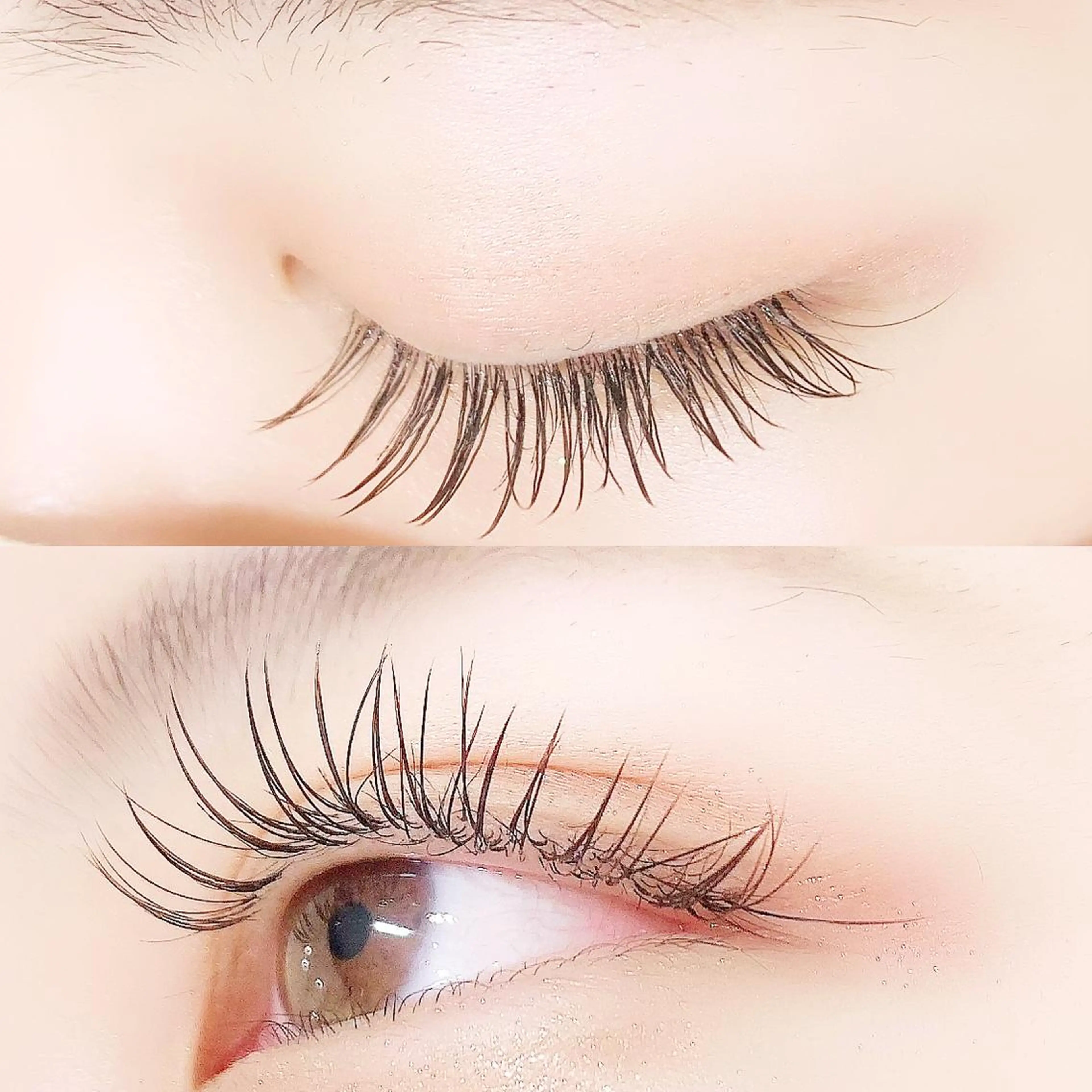 マツエク・マツパ カラーマツエク キュート フラットラッシュ マツエク 【Lanhr】 🕊aya🕊のマツエク・マツパデザイン