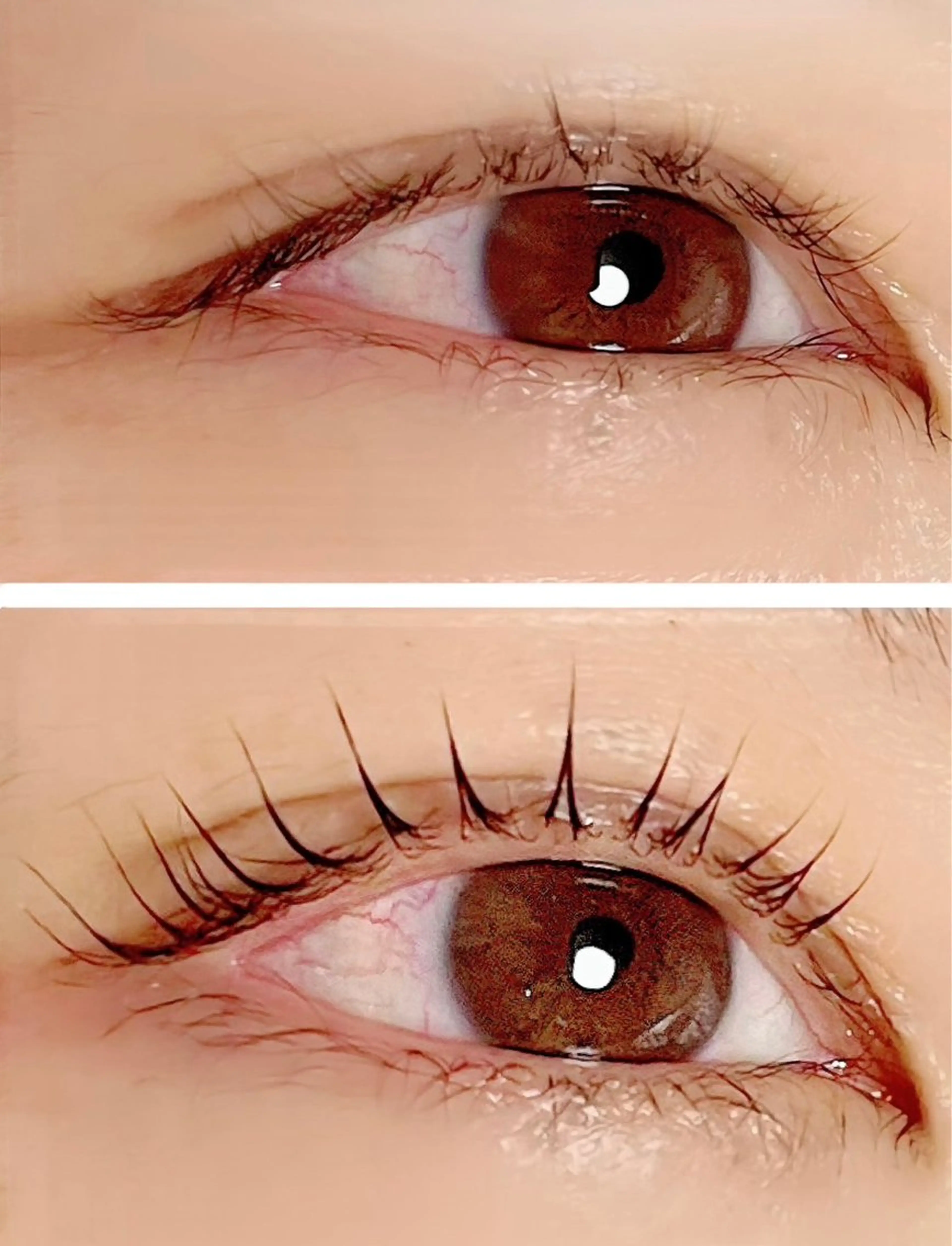 マツエク・マツパ 🎀自由が丘🎀 Lapuの眉毛・アイブロウイメージ