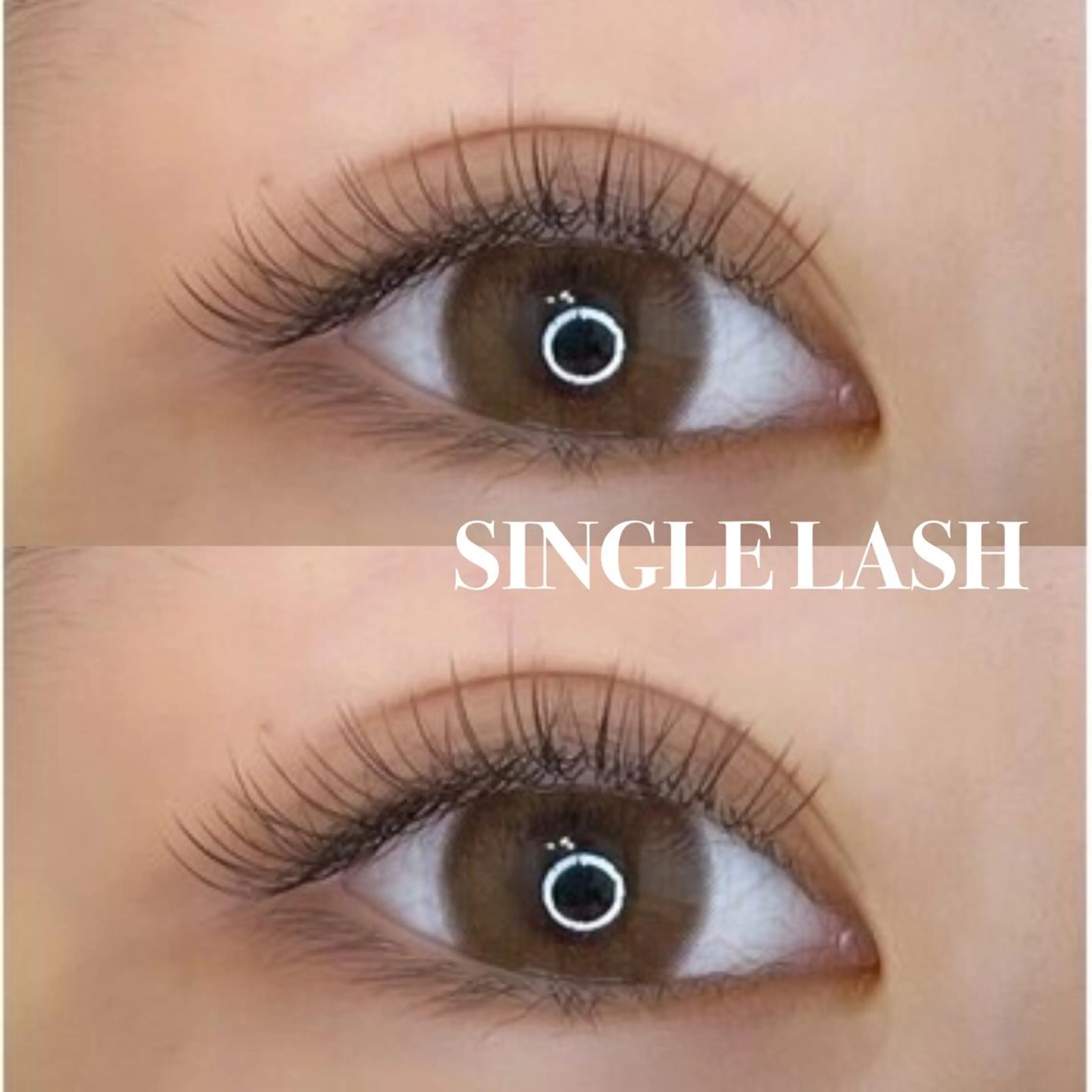 【 平日限定🌷】セーブルフラットラッシュ100本（オフ＋¥500）の写真