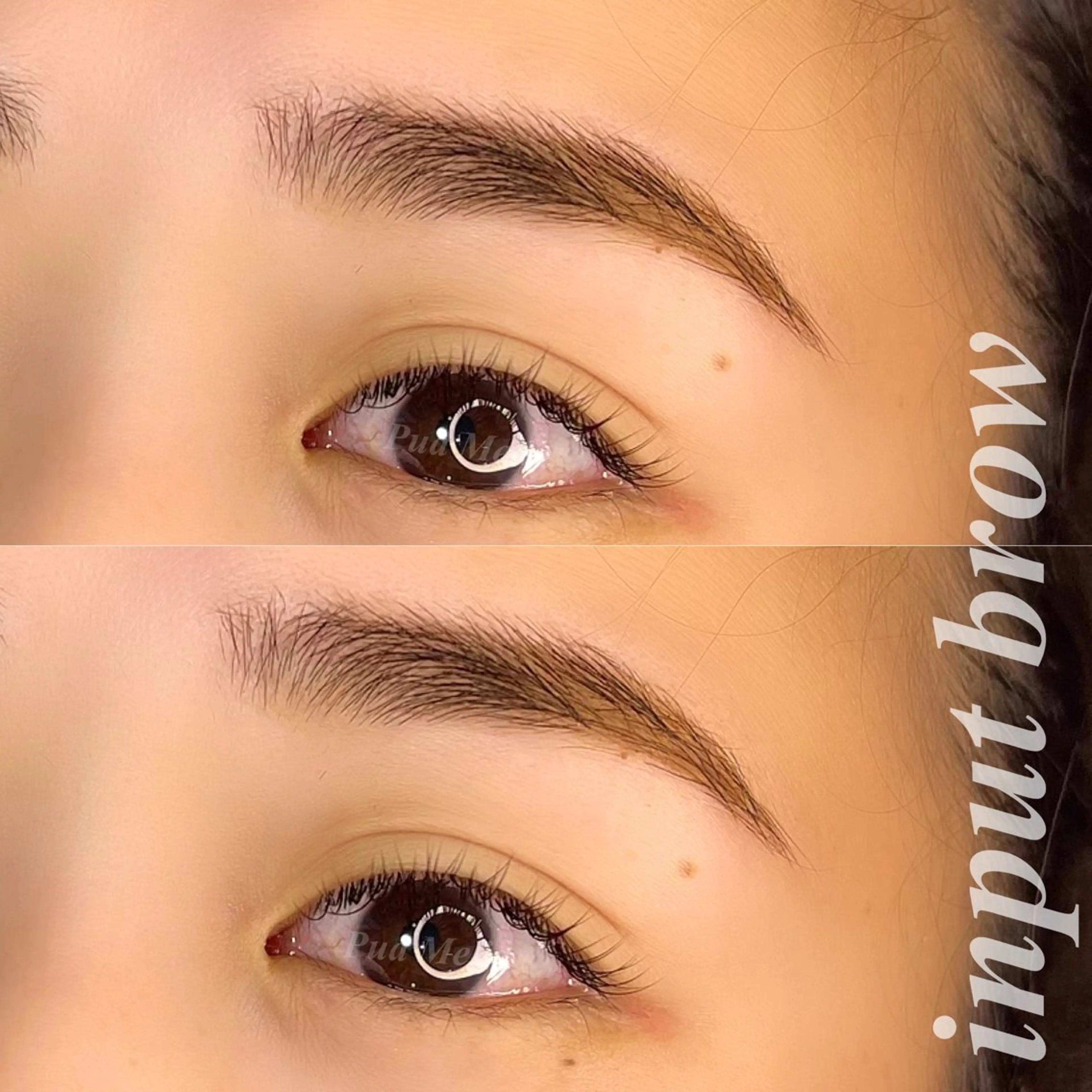 アイブロウ インプットブロウ Pua Meliaのマツエク・マツパデザイン