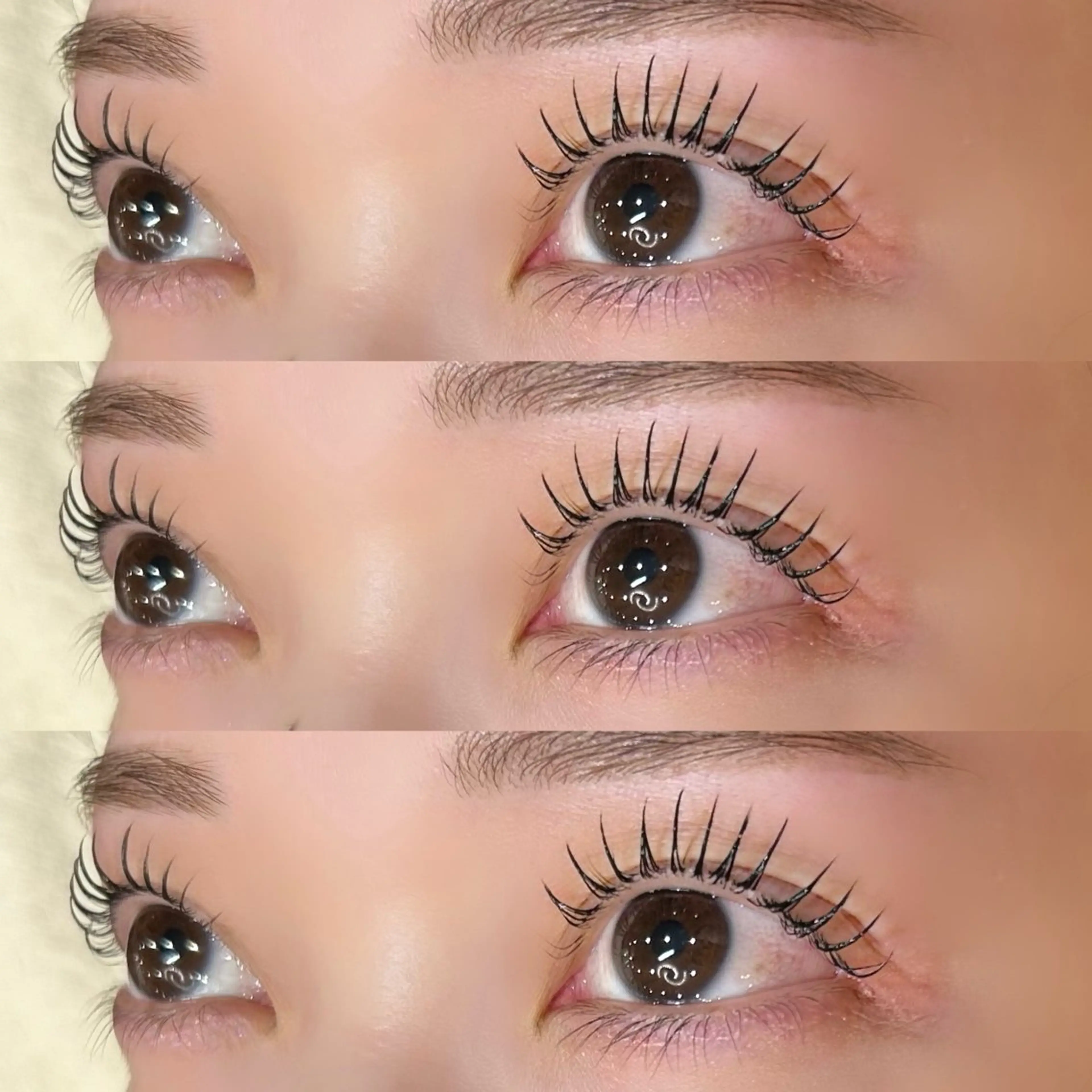 【当日限定🔮】パリジェンヌorまつ毛パーマの写真