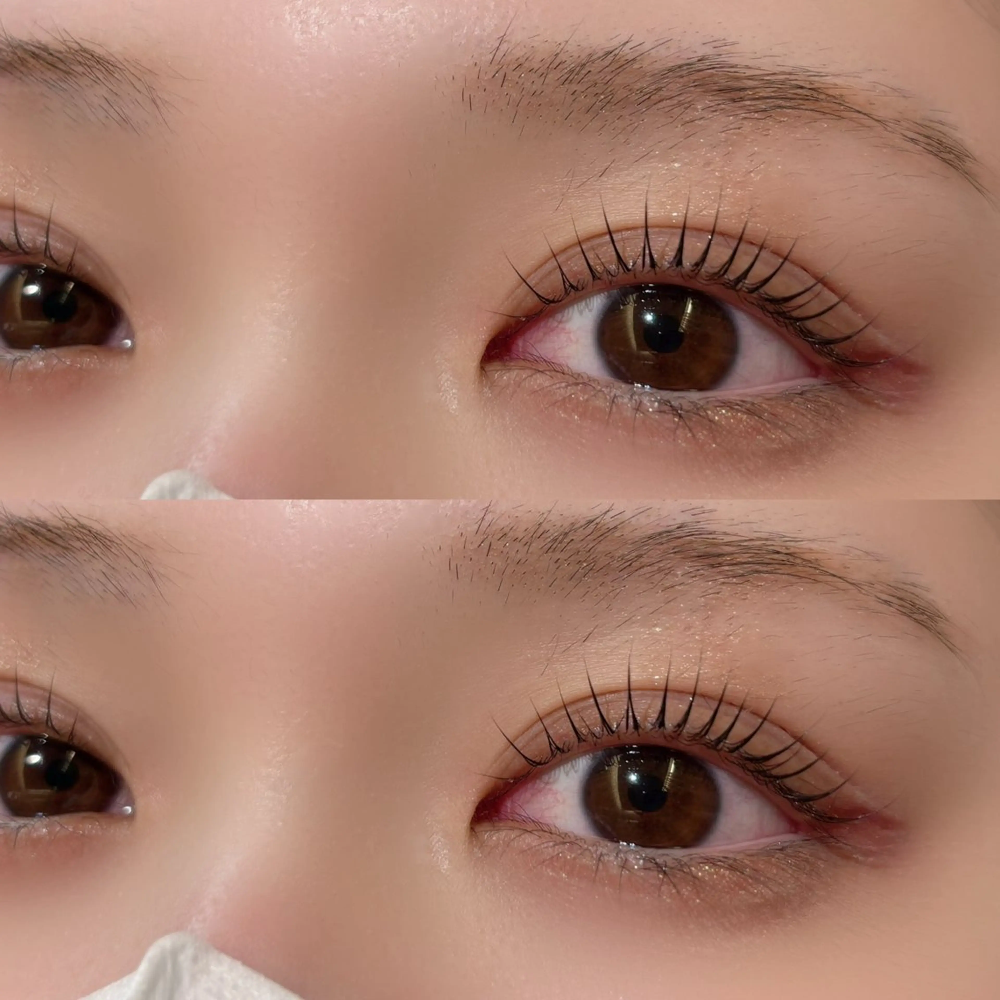 マツエク・マツパ プティットスリール 野原のマツエク・マツパデザイン