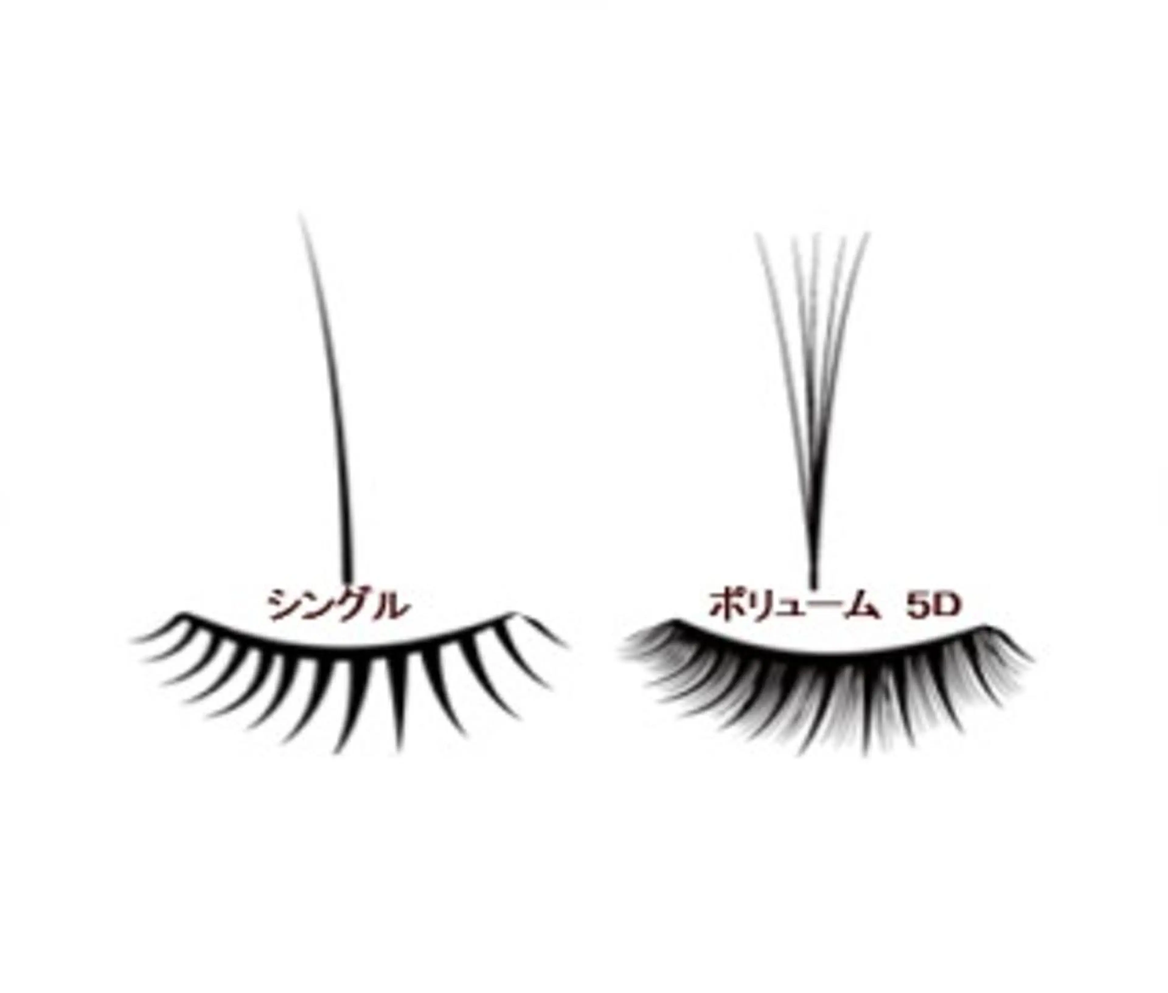 初回/5Dボリュームラッシュ✨400本<オフ有り>の写真