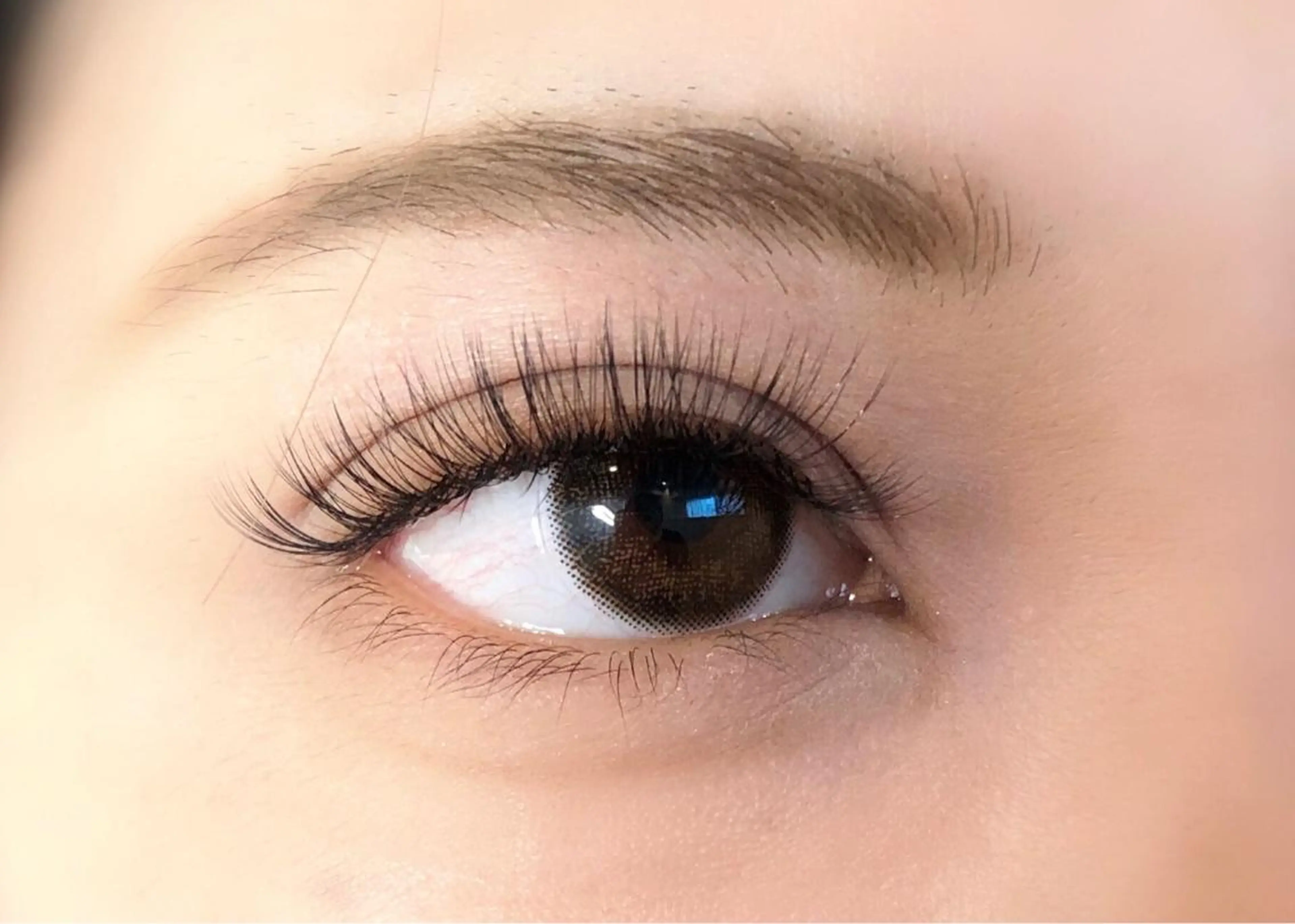 オフ無料！ボリュームラッシュ420本7980円の写真