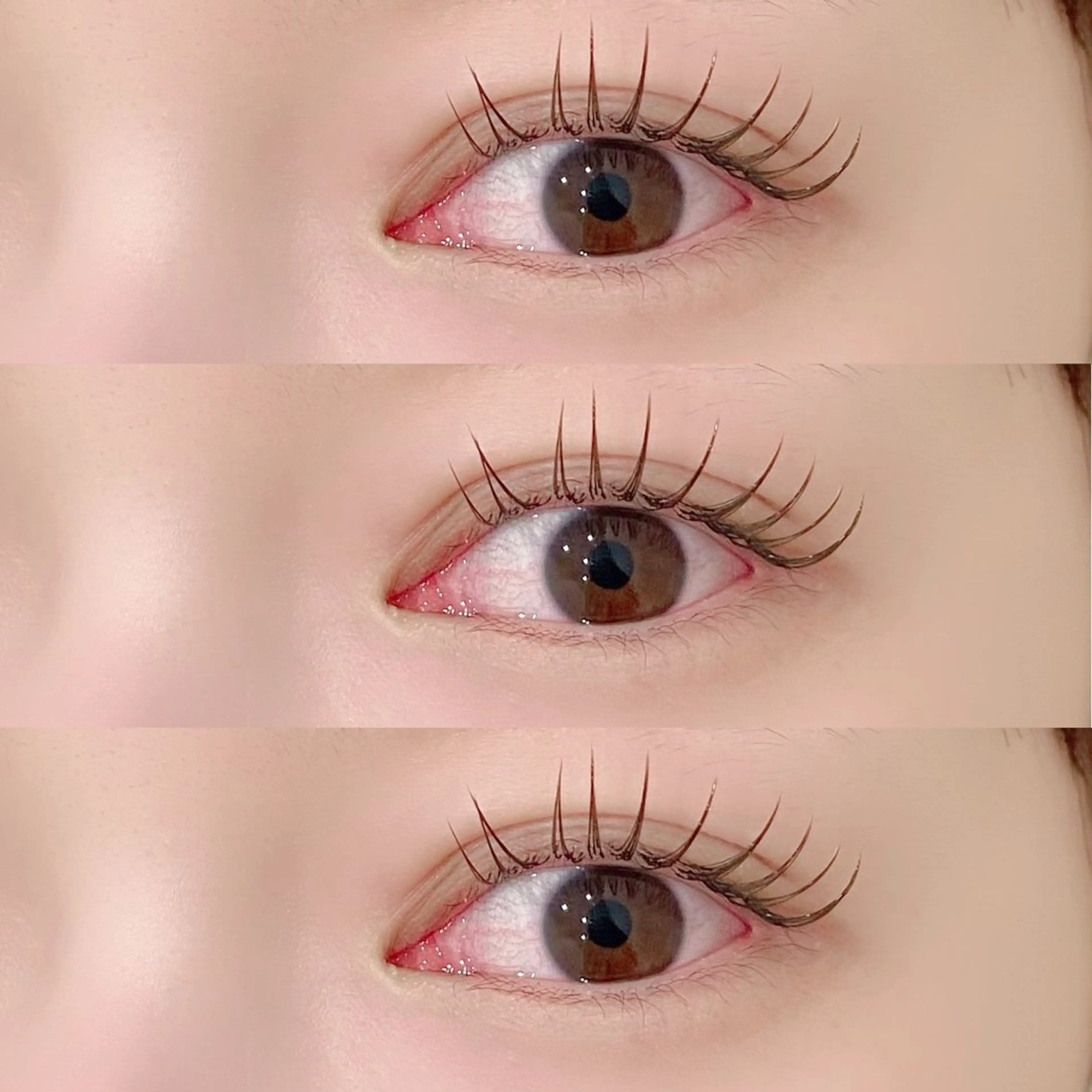 【再来様】フラットラッシュ100本の写真