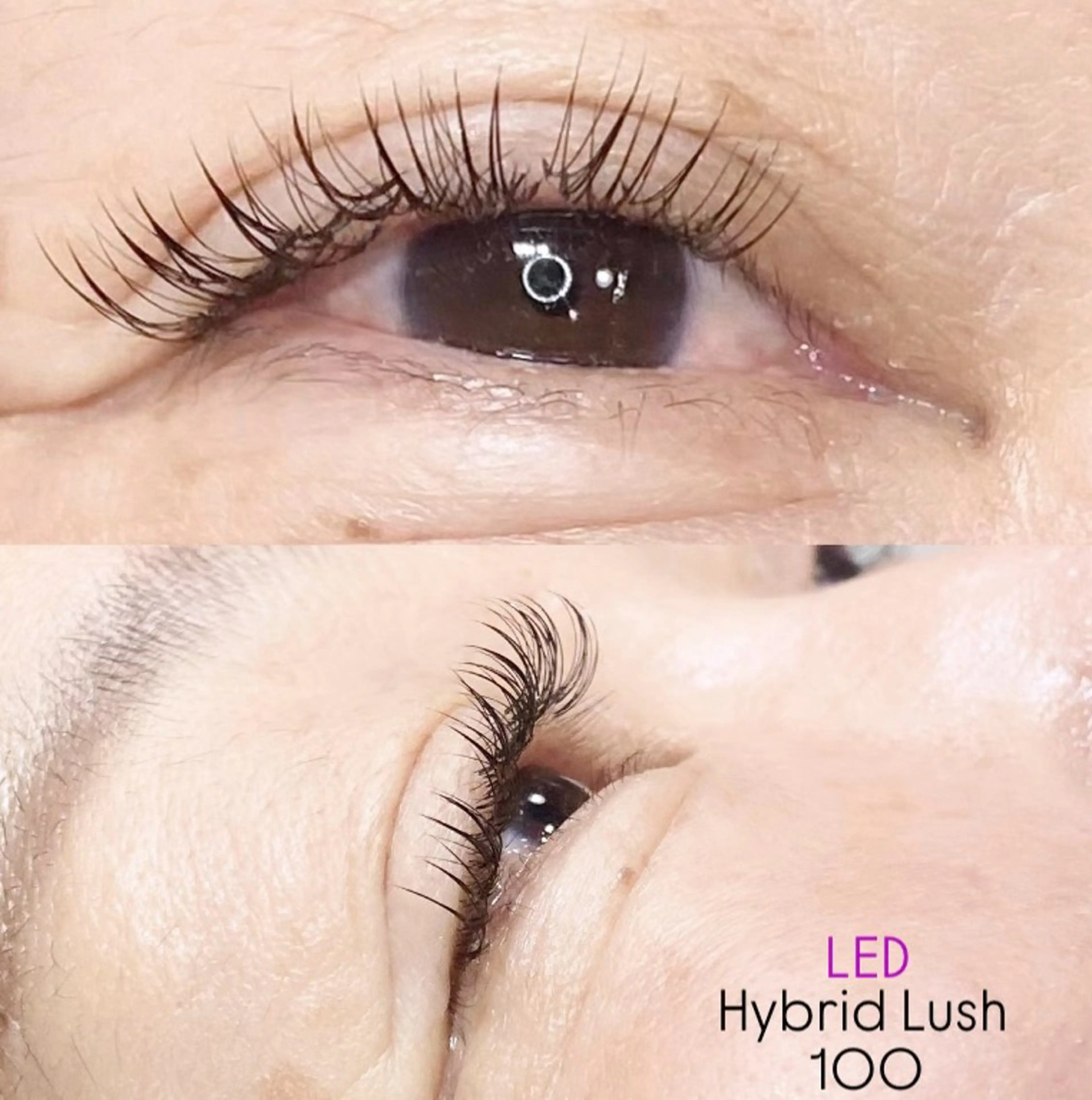 マツエク・マツパ バインドロック フラットラッシュ ボリュームラッシュ LEDエクステ専門店 Fedis 京橋のマツエク・マツパデザイン