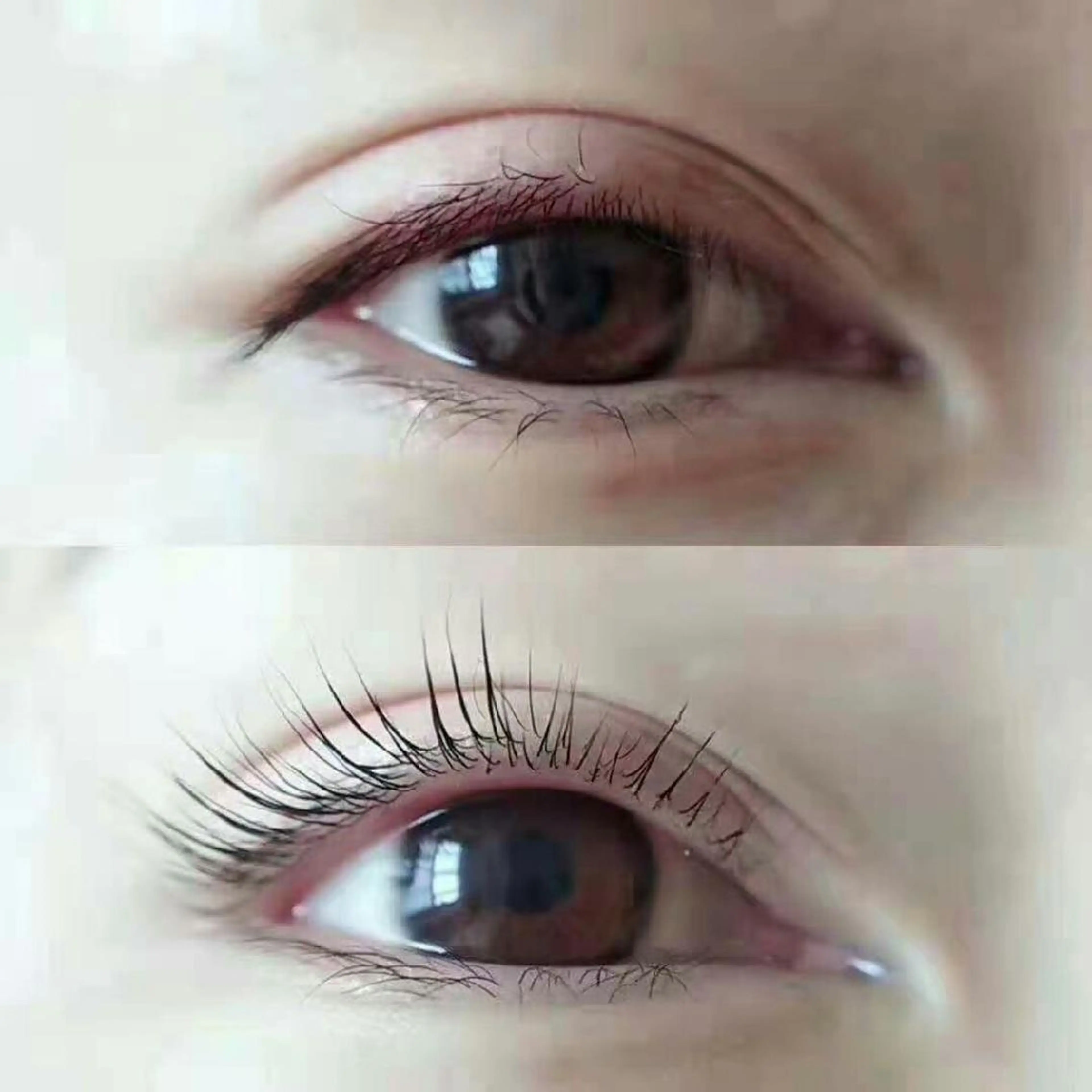 マツエク・マツパ まつげパーマ 胡蝶蘭レディースサロ ン眉マツパエクステの眉毛・アイブロウイメージ