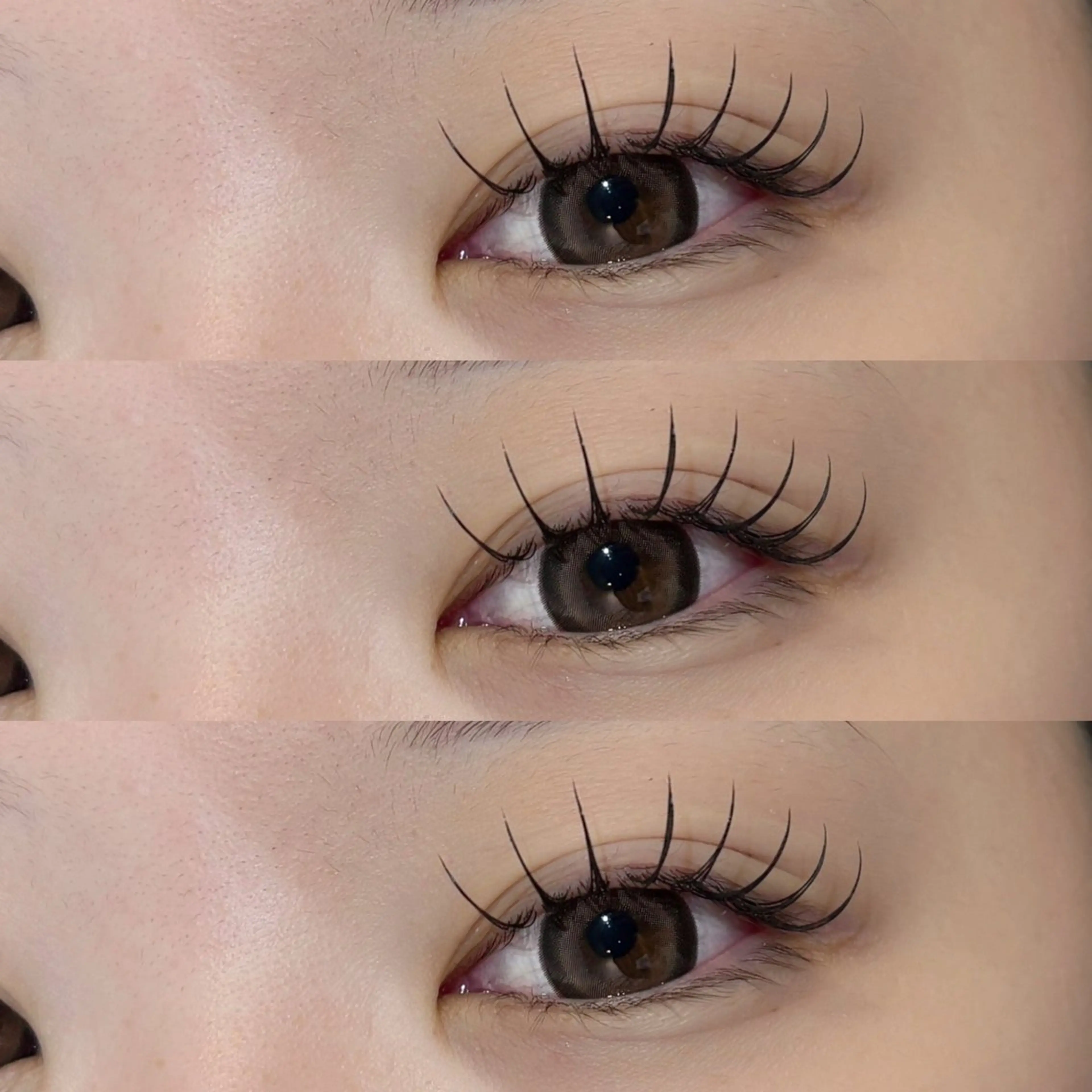 【今がお得🍁】束感✨フラットラッシュ100本　（オフなし）の写真